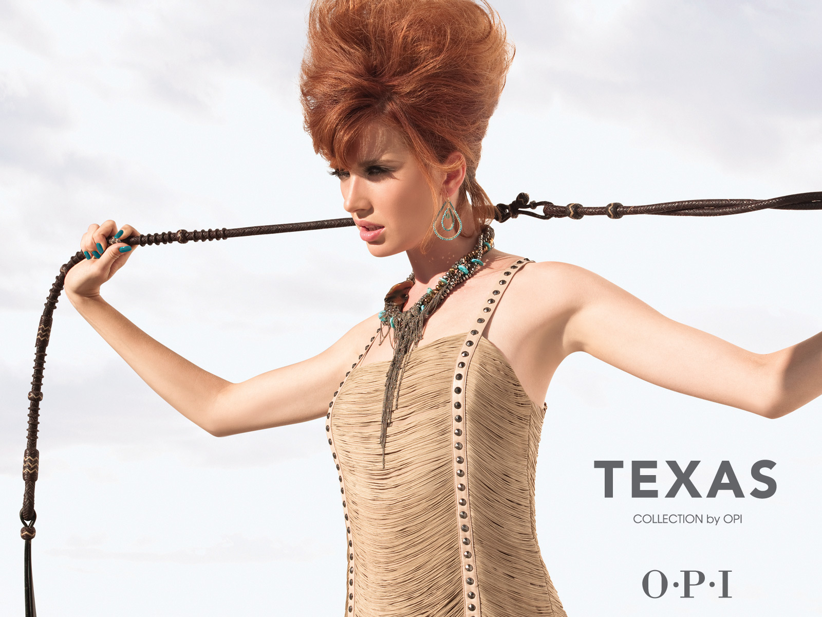 OPI Texas banner 2