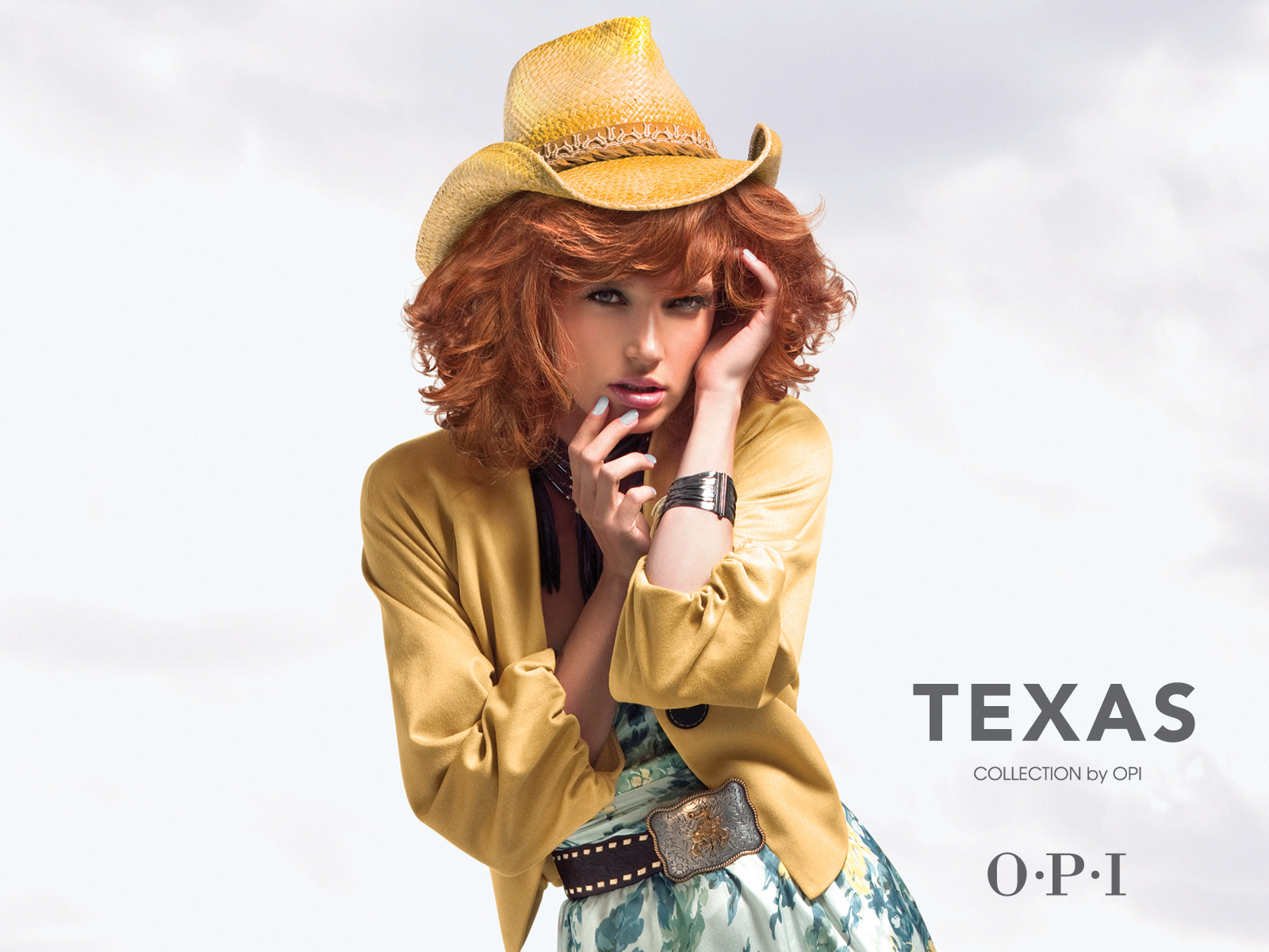 OPI Texas banner 3