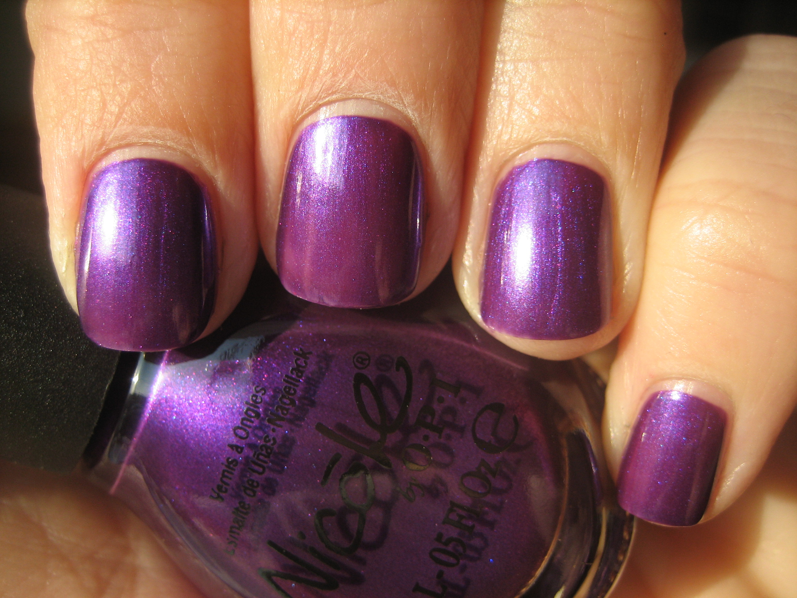 Prized Possession Purple in sunlight