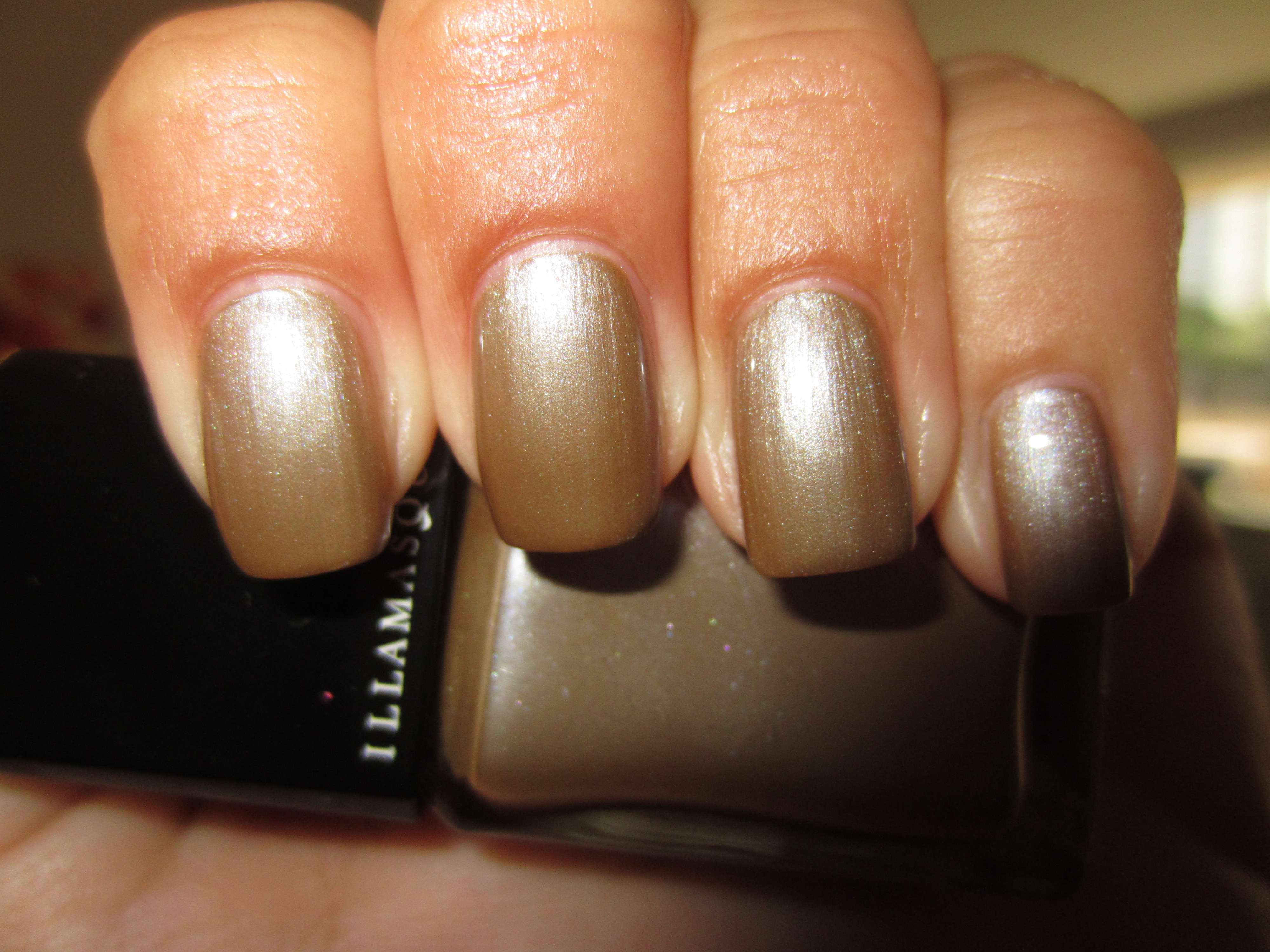 Bacterium swatch (flash)
