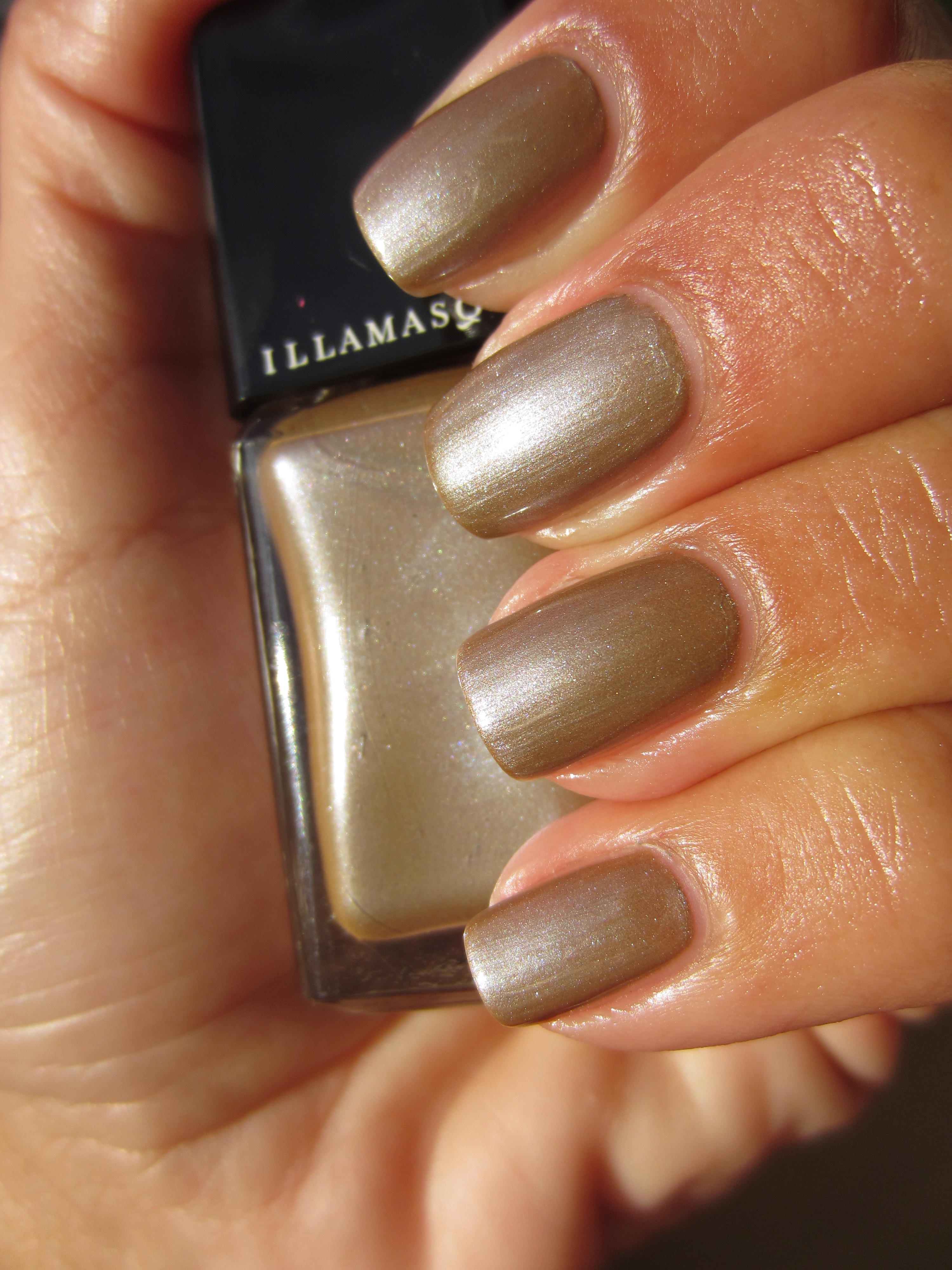 Bacterium swatch (sunlight 20