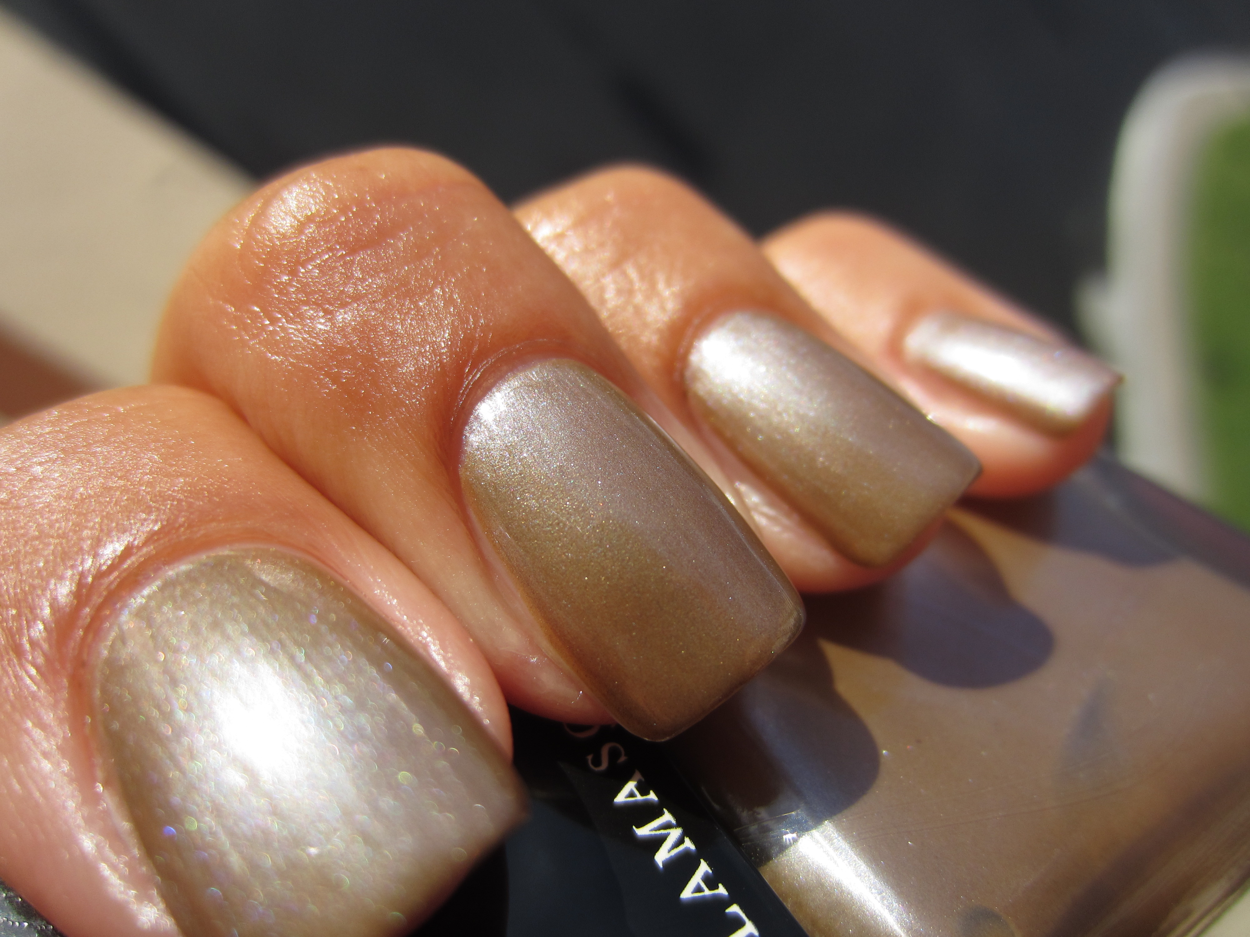 Bacterium swatch (closeup)