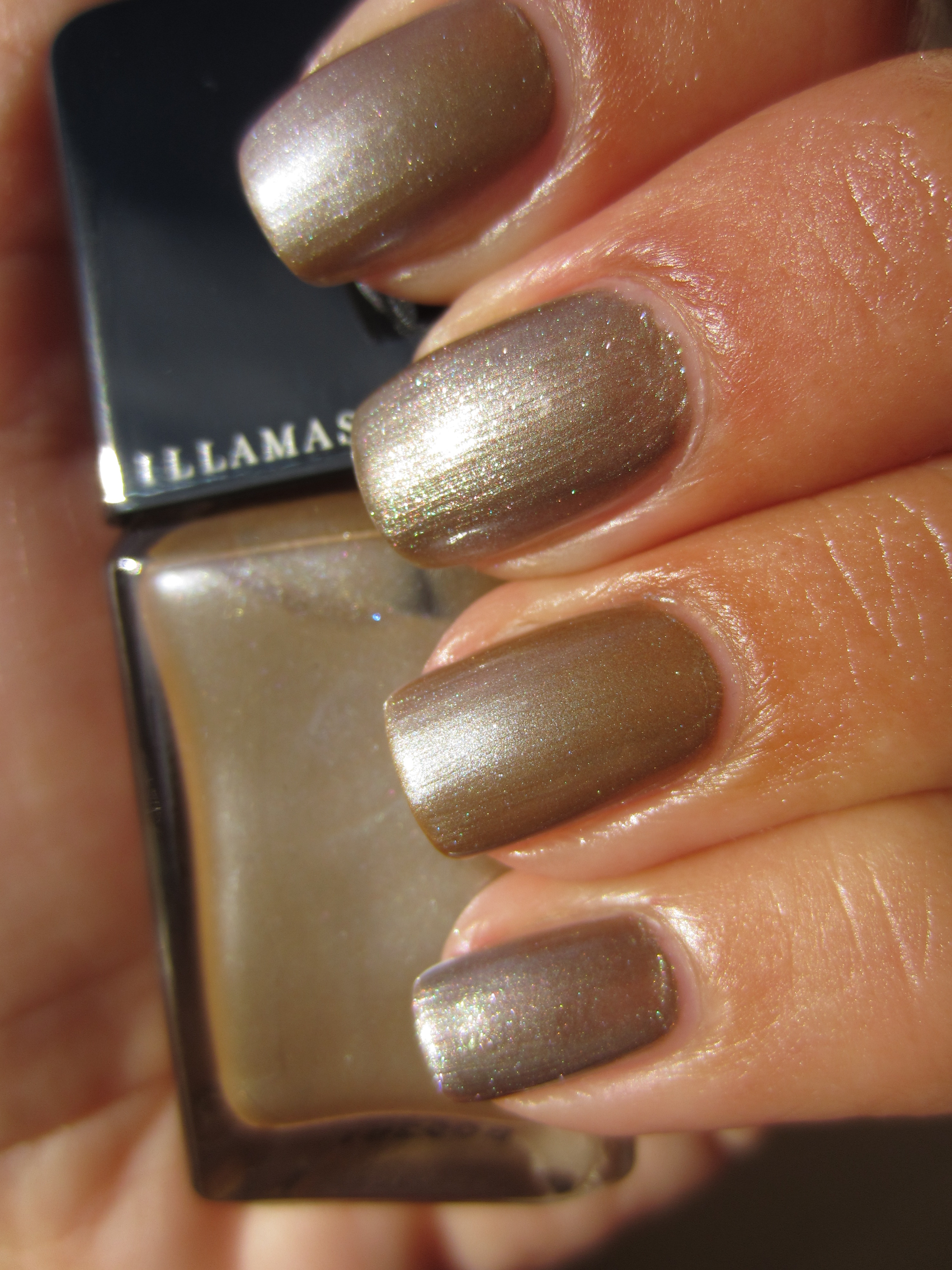 Bacterium vs. Quartz swatch (sunlight 2)