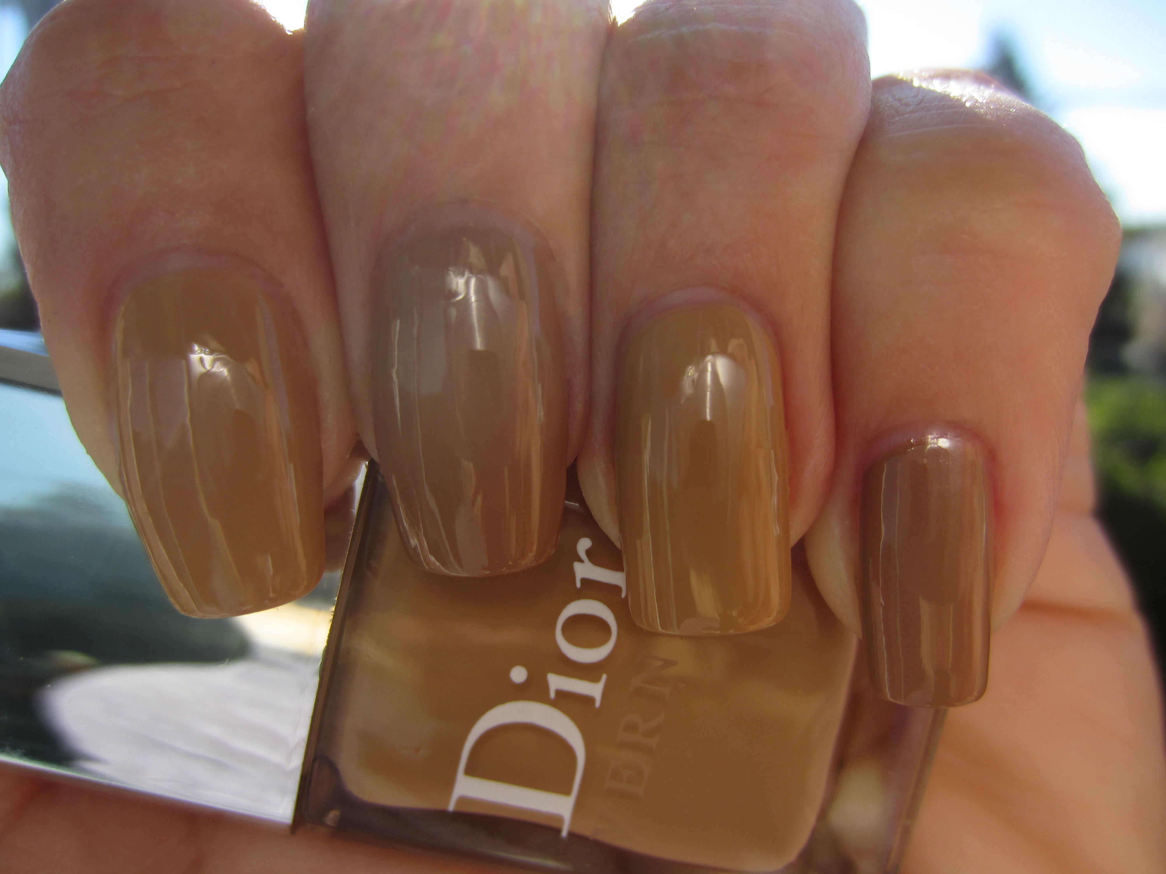 Camel vs. Brown Bag swatch (shaded light)