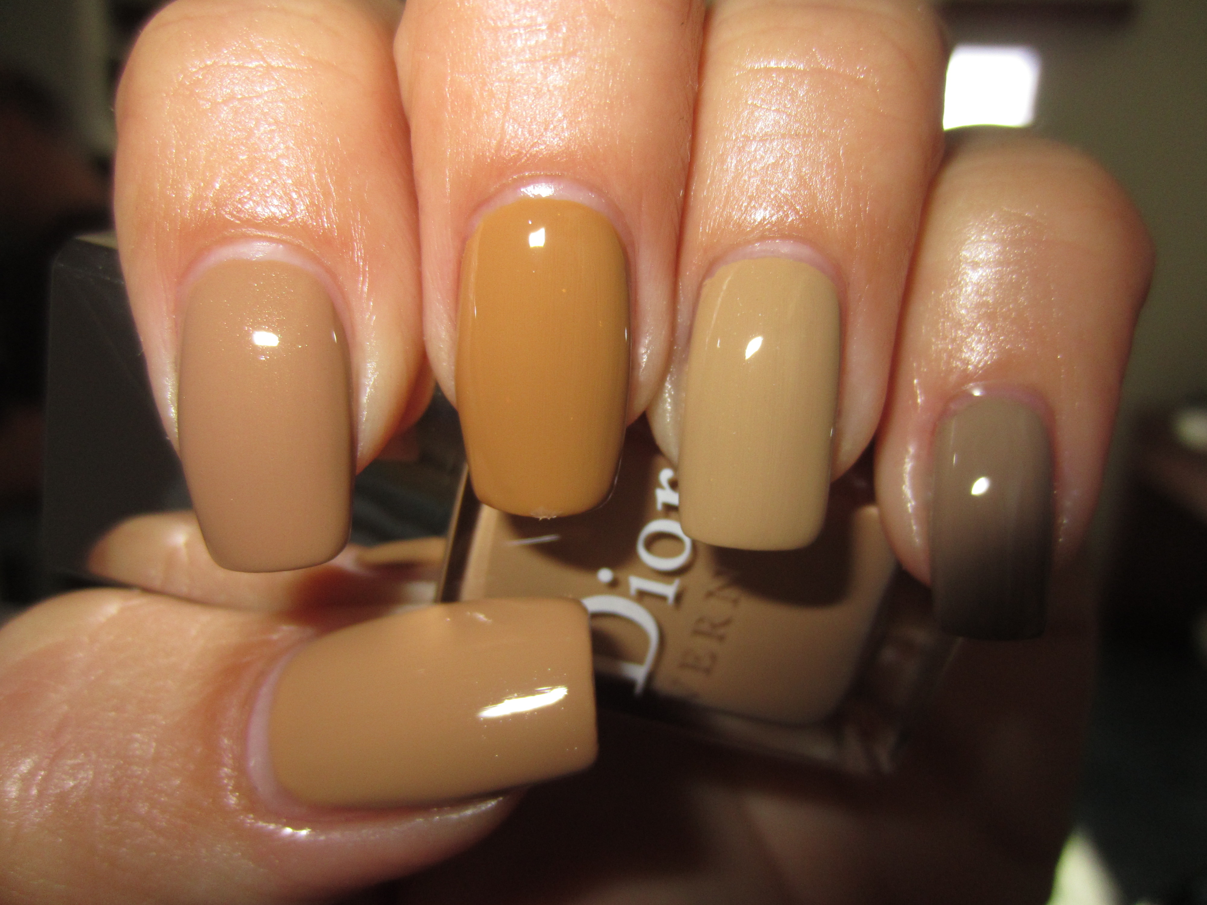 Camel & comparisons swatch (flash)
