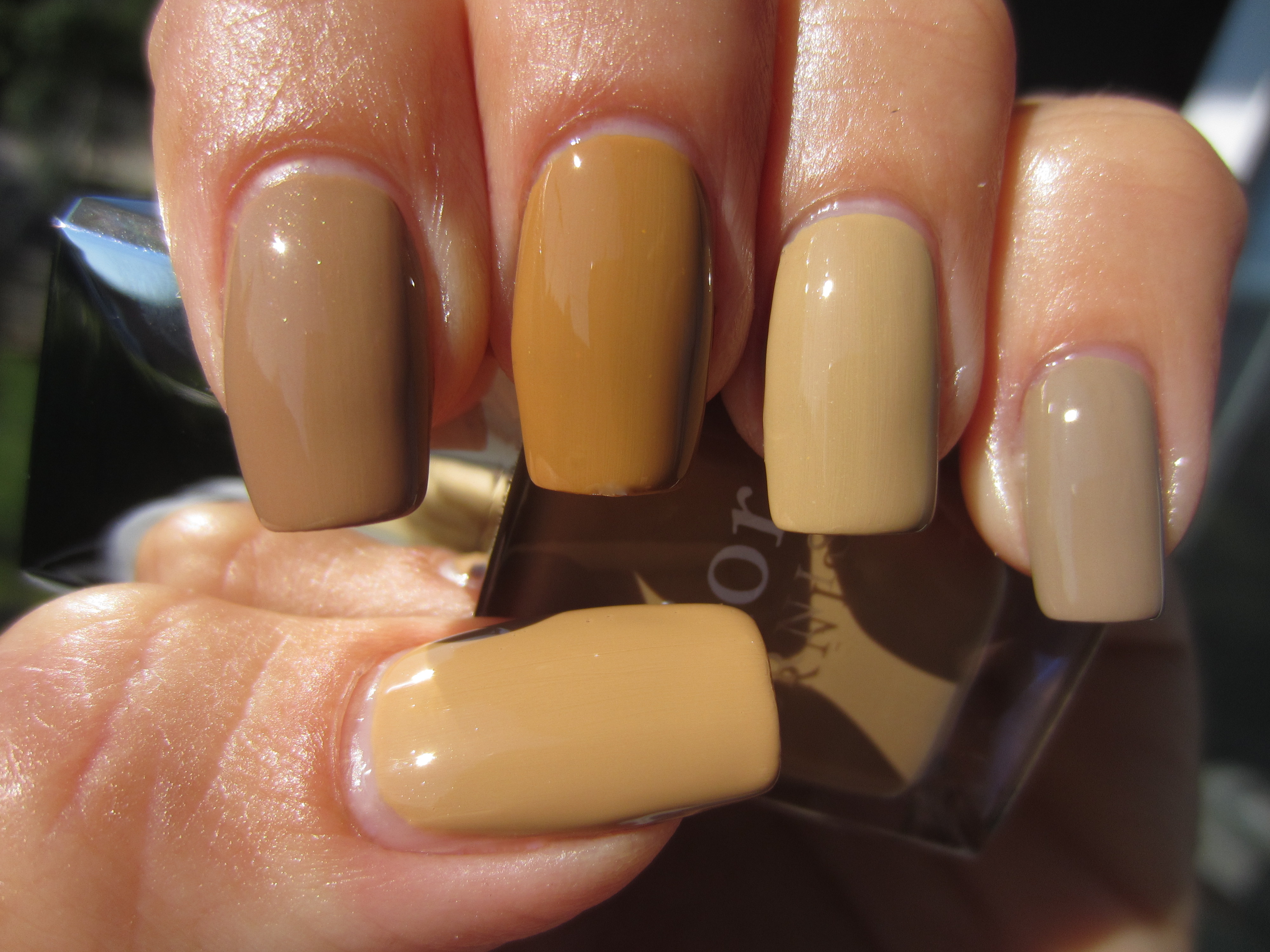 Camel & comparisons swatch (sunlight)