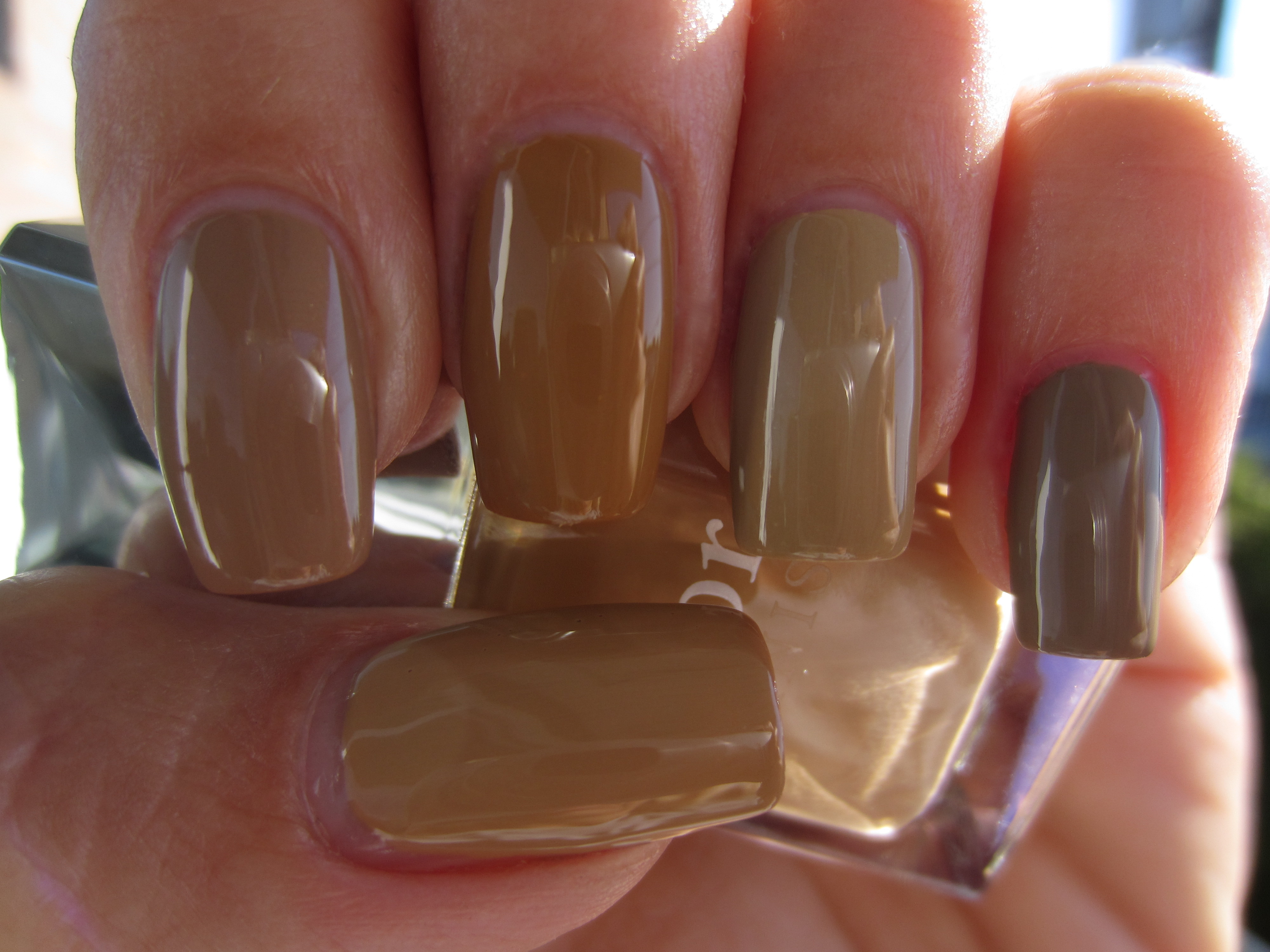 Camel & comparisons swatch (shaded light)