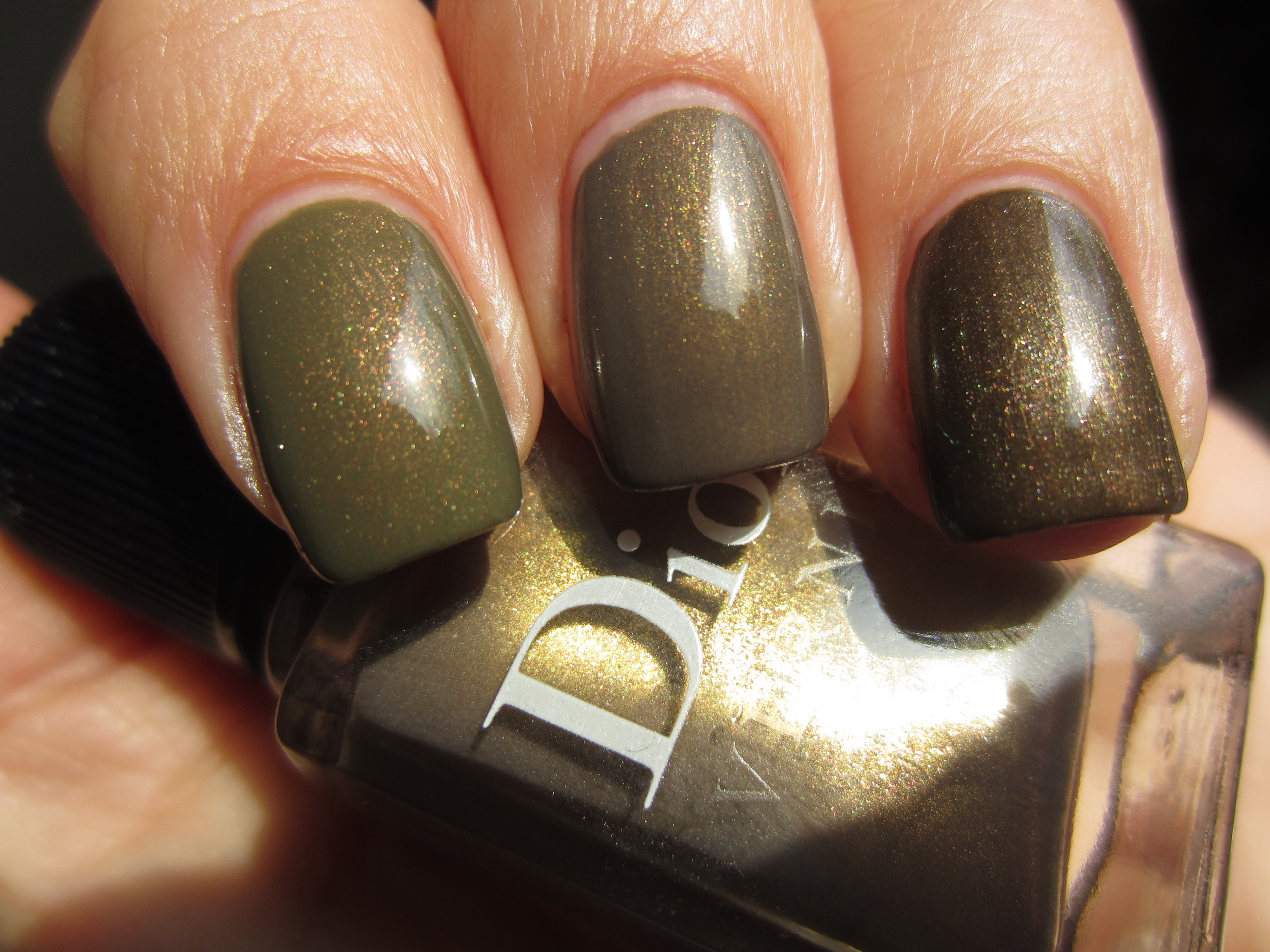 Exquis vs. Bronze Libertine & Metallic Sage swatch (sunlight 2)