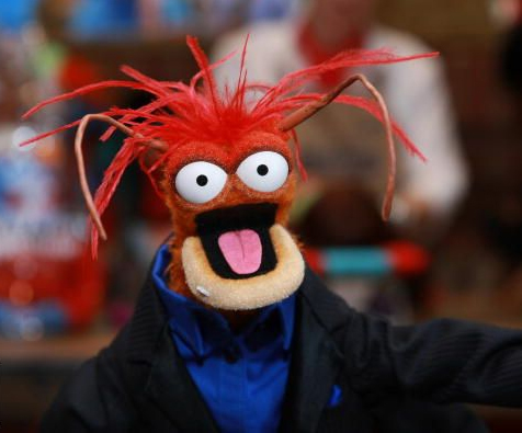 Pepe-jacket Pepe the Prawn!