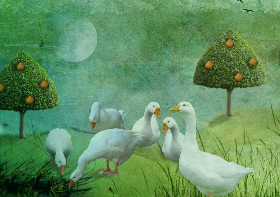 Six_Geese_A_Laying_by_violscraper