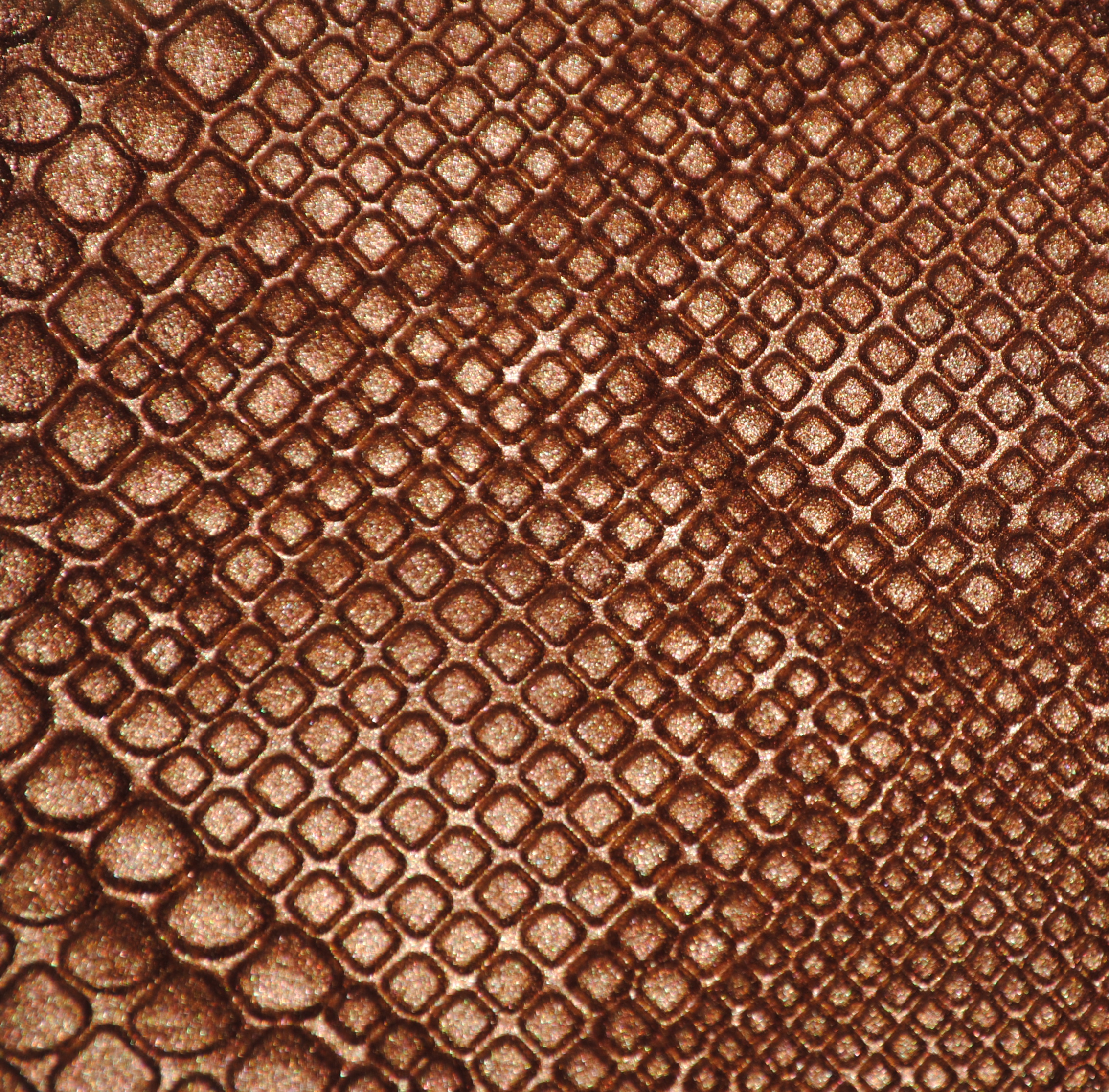 Topaz Chameleon (closeup)
