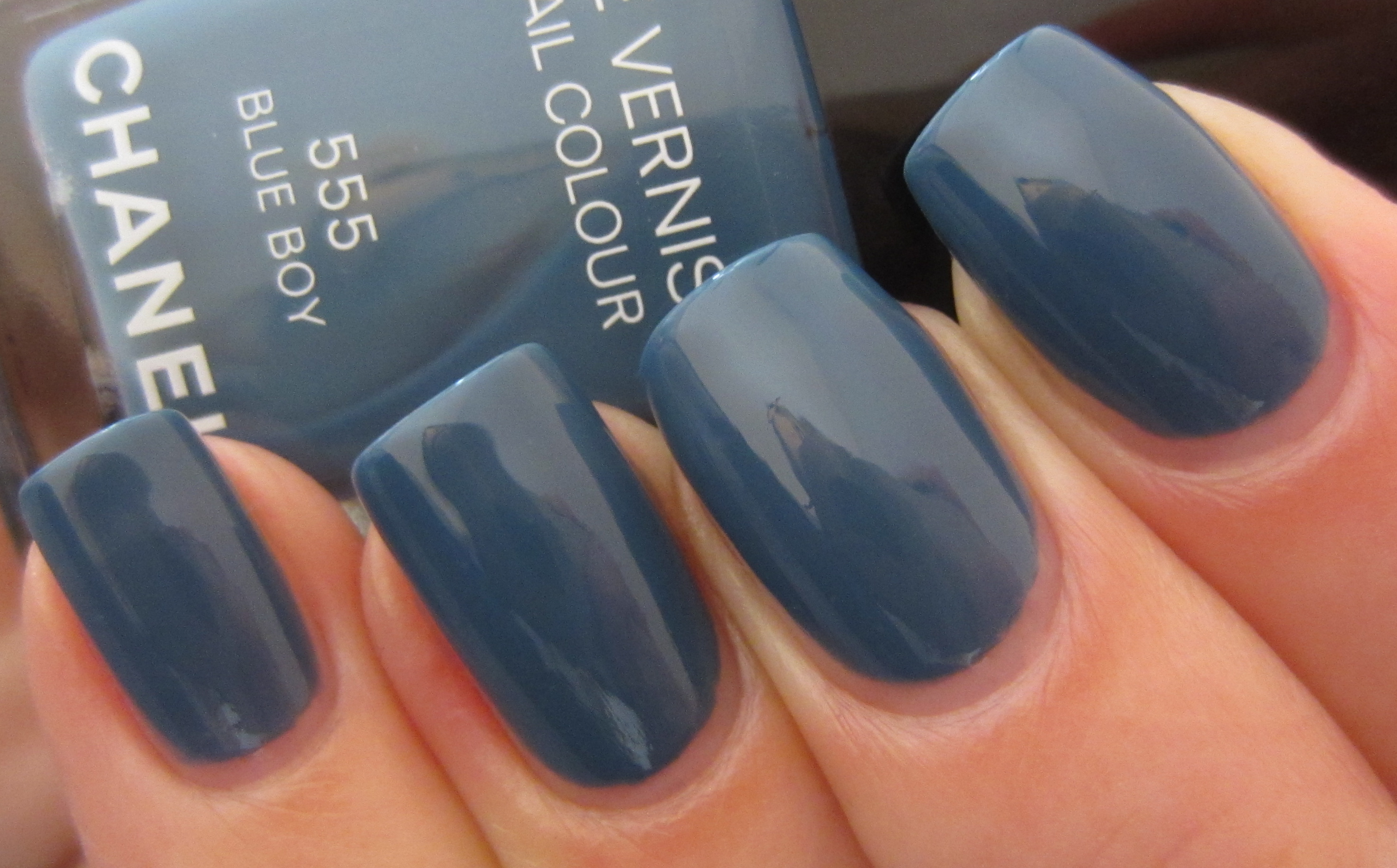 Blue Boy swatch 2 (indoors)