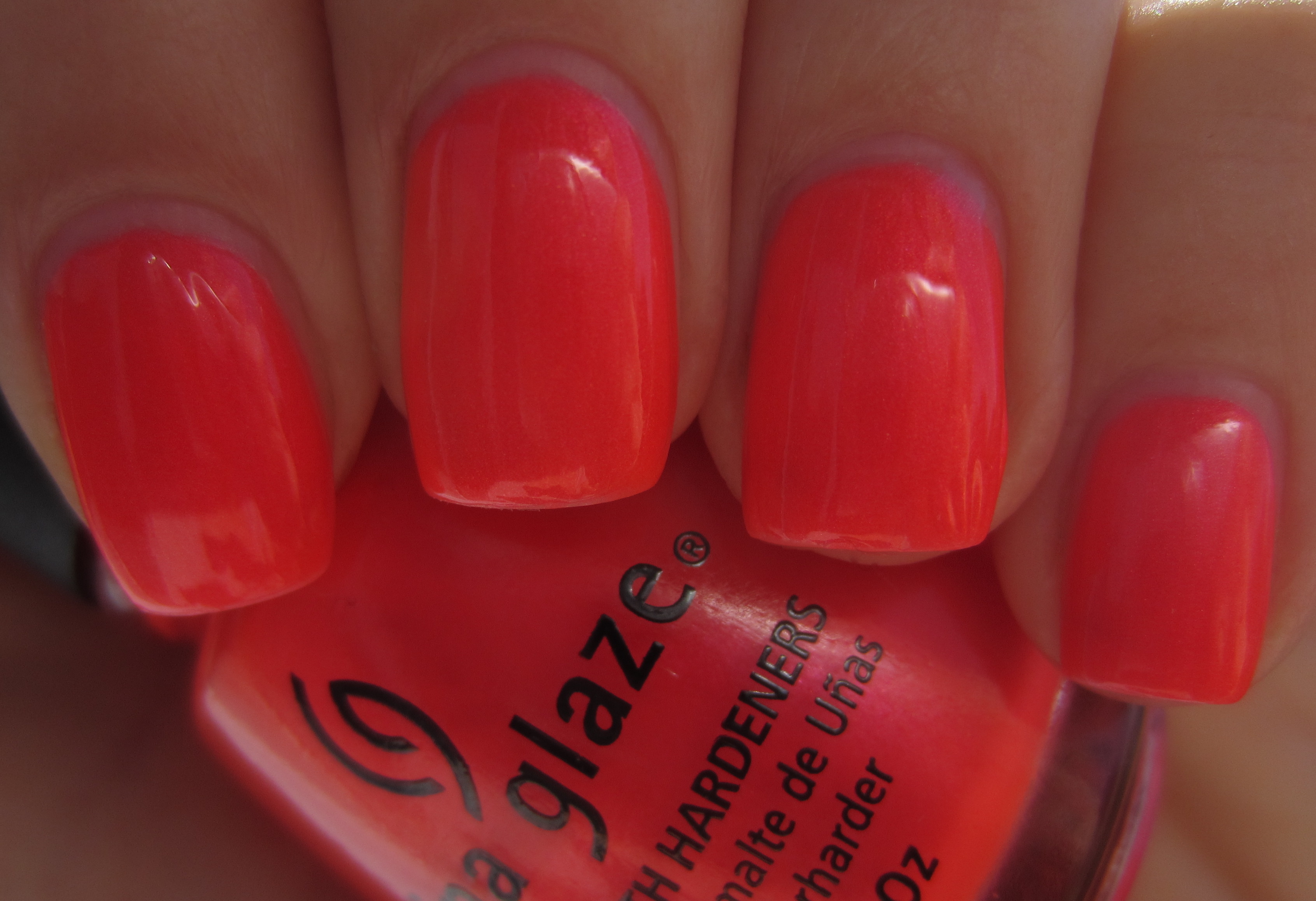 Surfin' for Boys swatch (backlit)