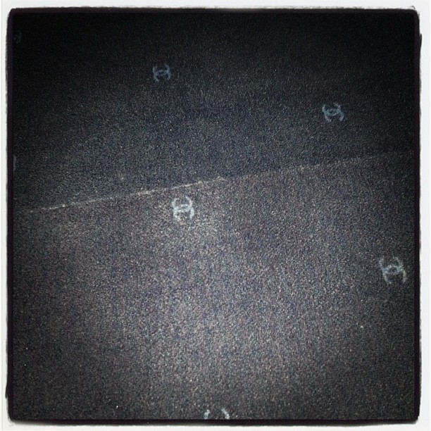 Chanel 3 carpet