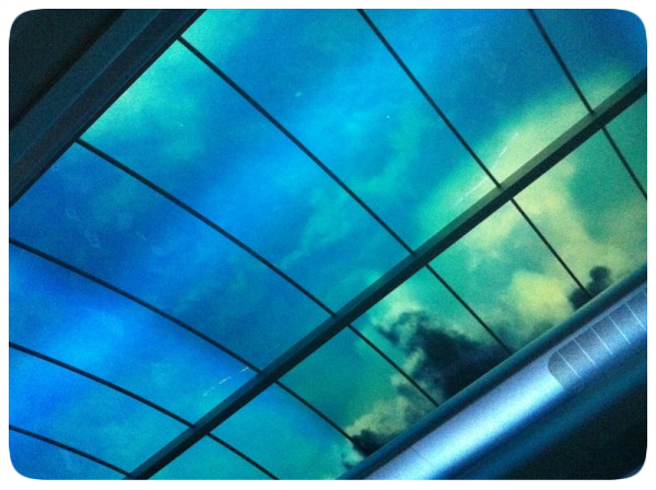 Chanel 4 new - skylight
