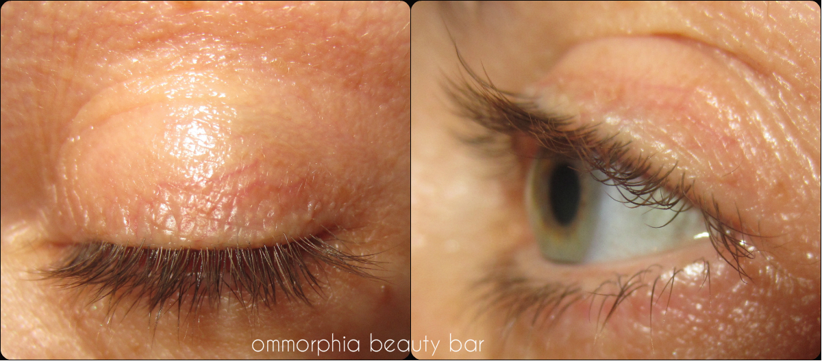 Prevage Clinical Lash swatch 2 weeks