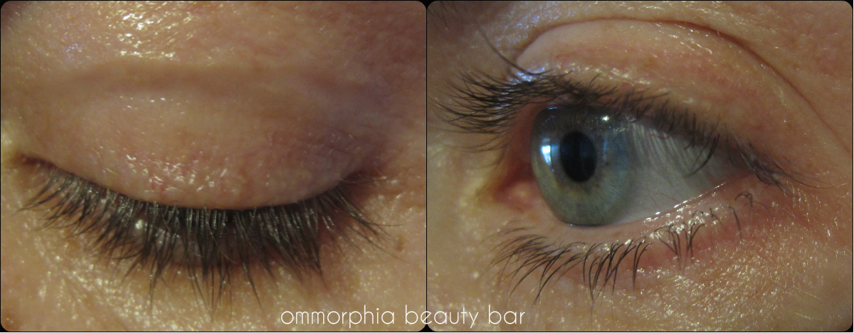 Prevage Clinical Lash swatch 4 weeks