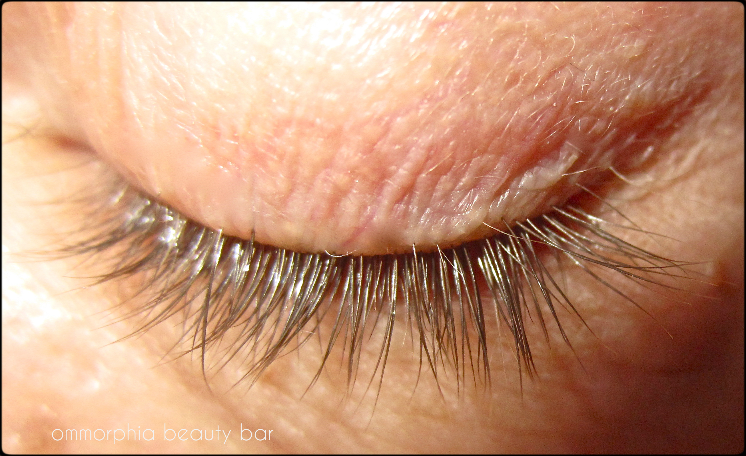 Prevage Clinical Lash swatch before