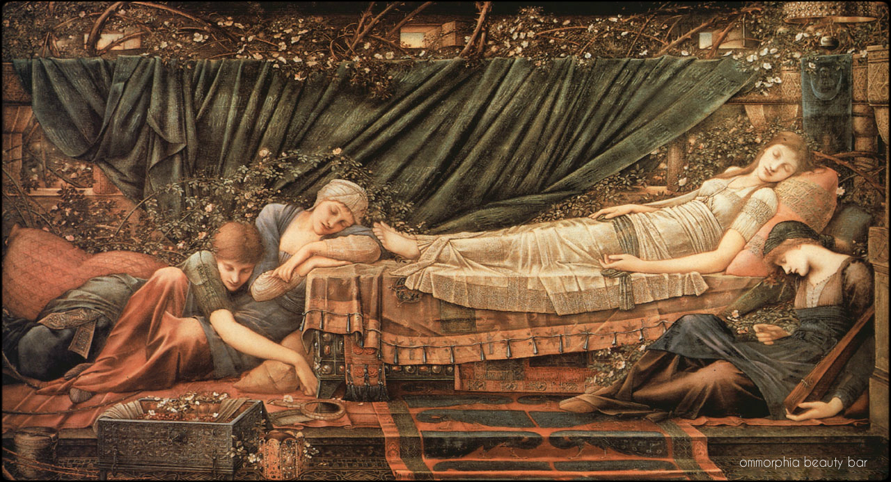 The Sleeping Beauty Edward Burne-Jones