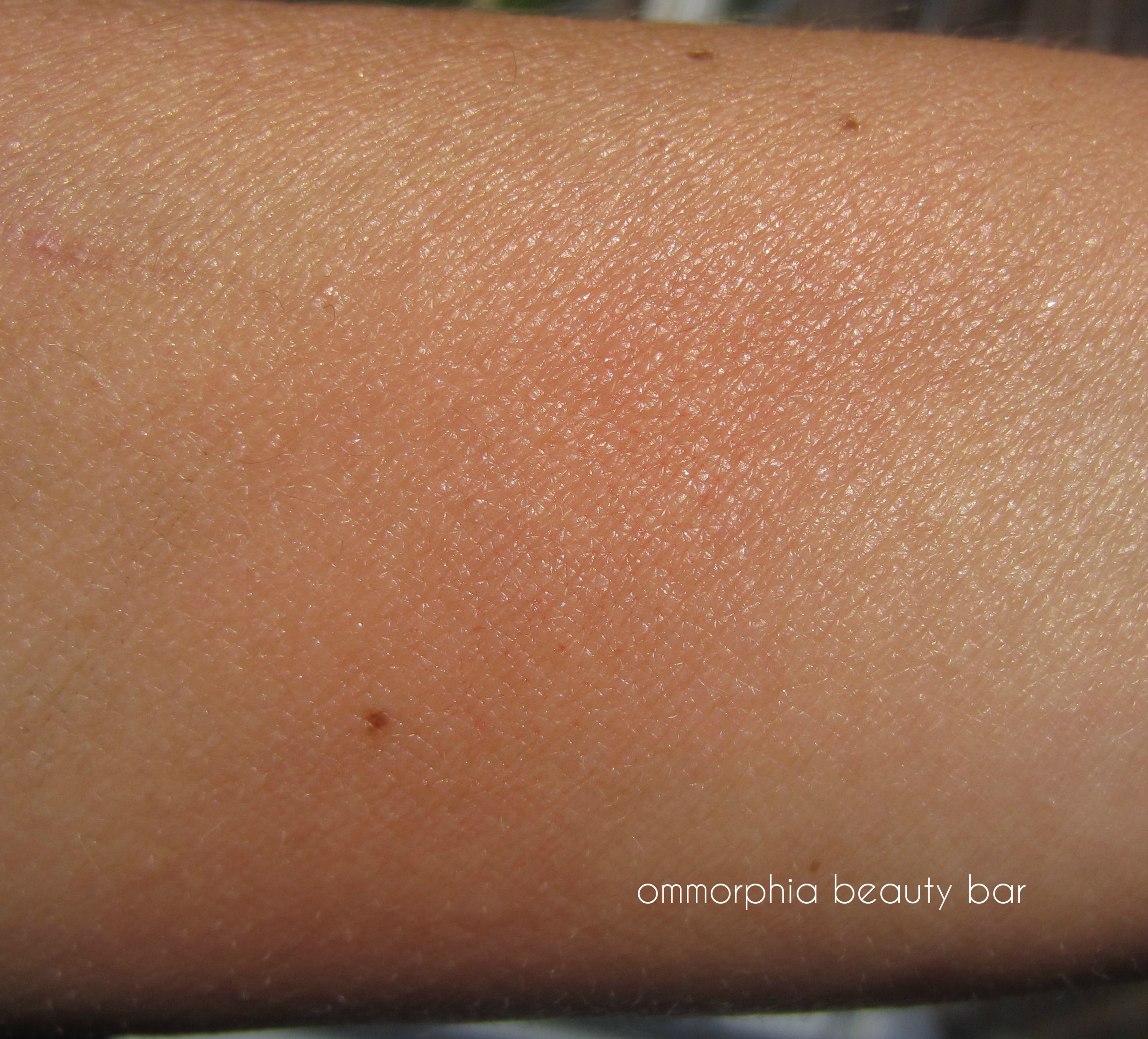 Dior Panama swatch blended