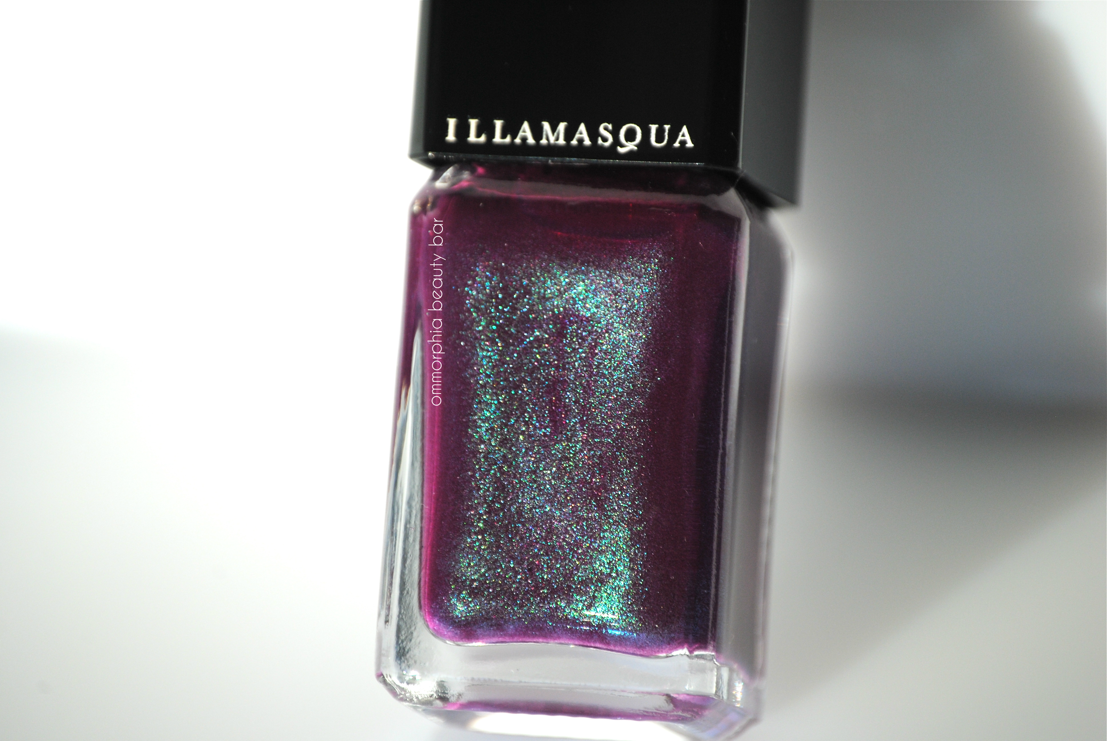 Illamasqua Gothiqua macro