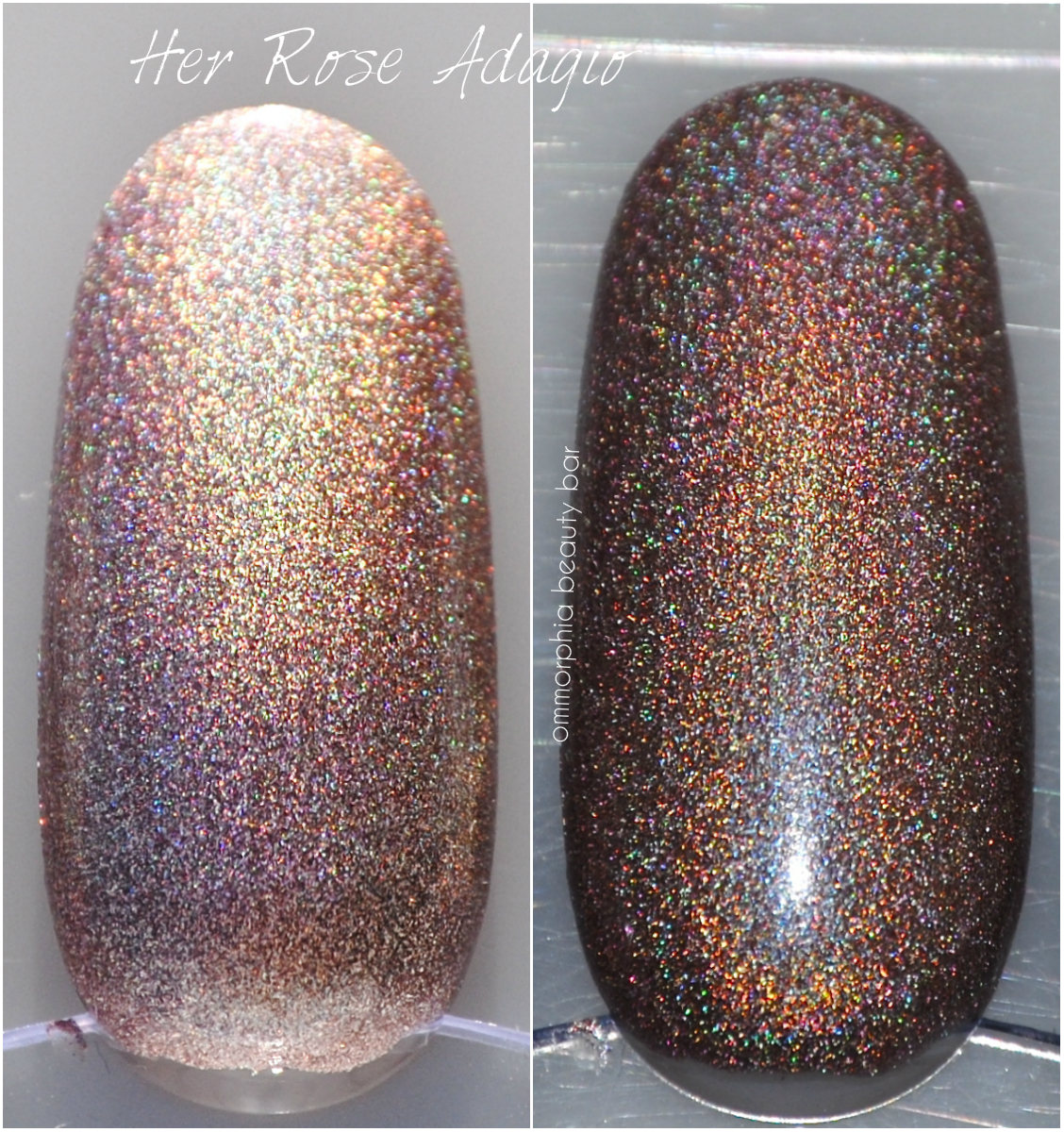 a-england pre-Her Rose Adagio swatch