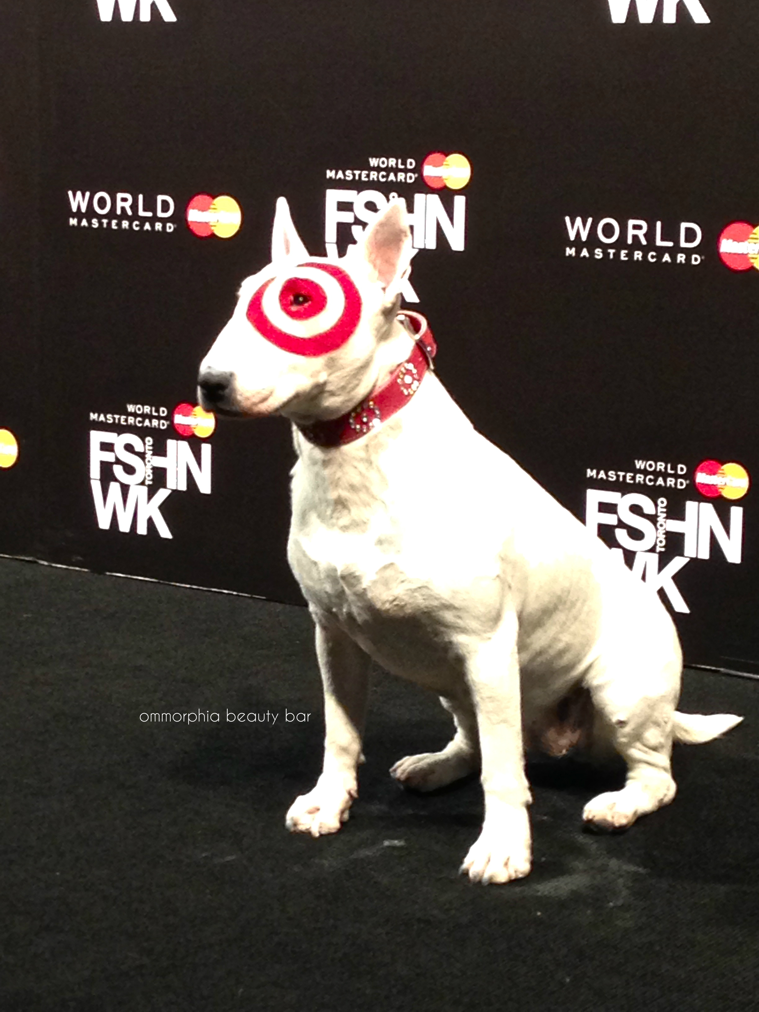 WMCFW Bullseye 1
