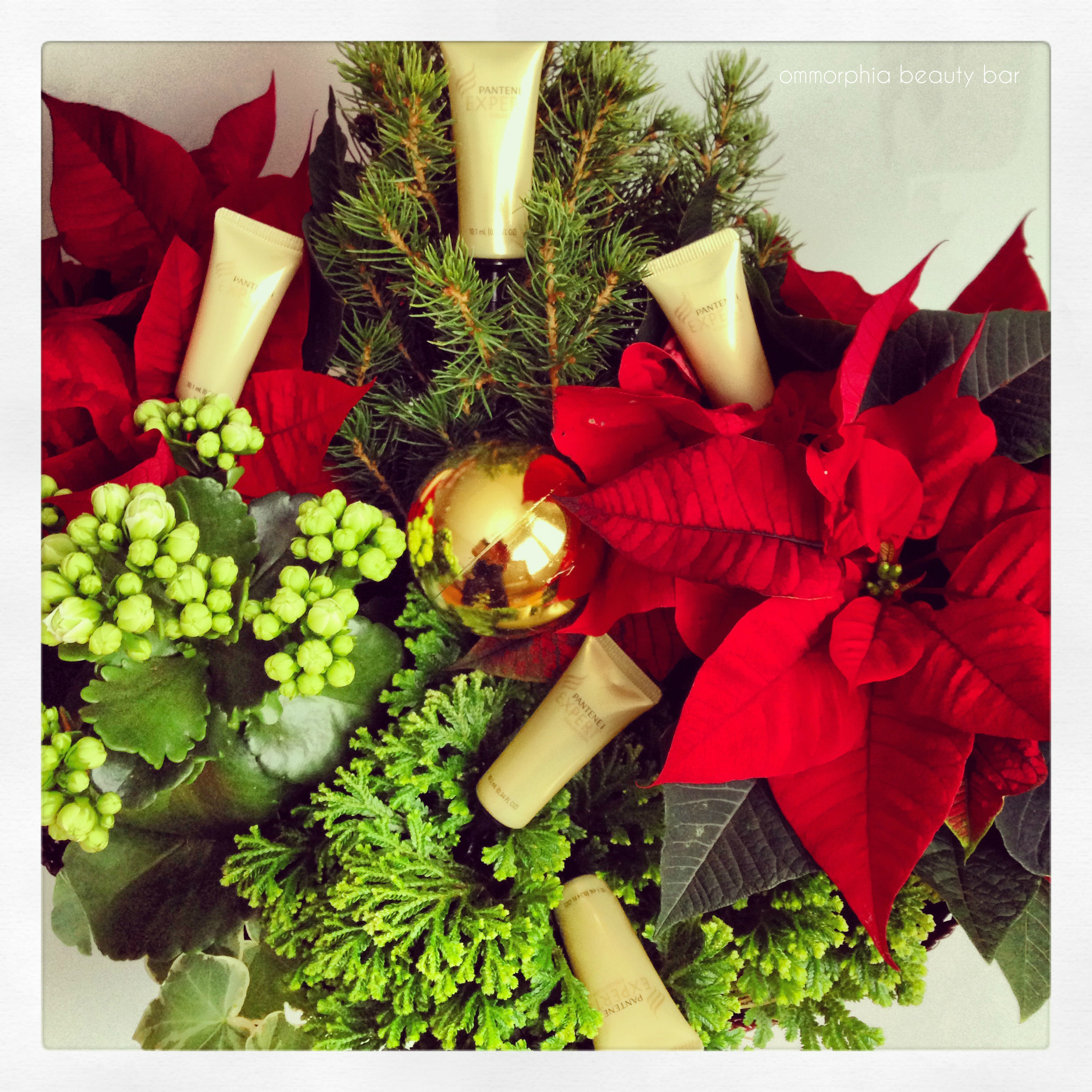 PG 12 Days of Beauty Pantene