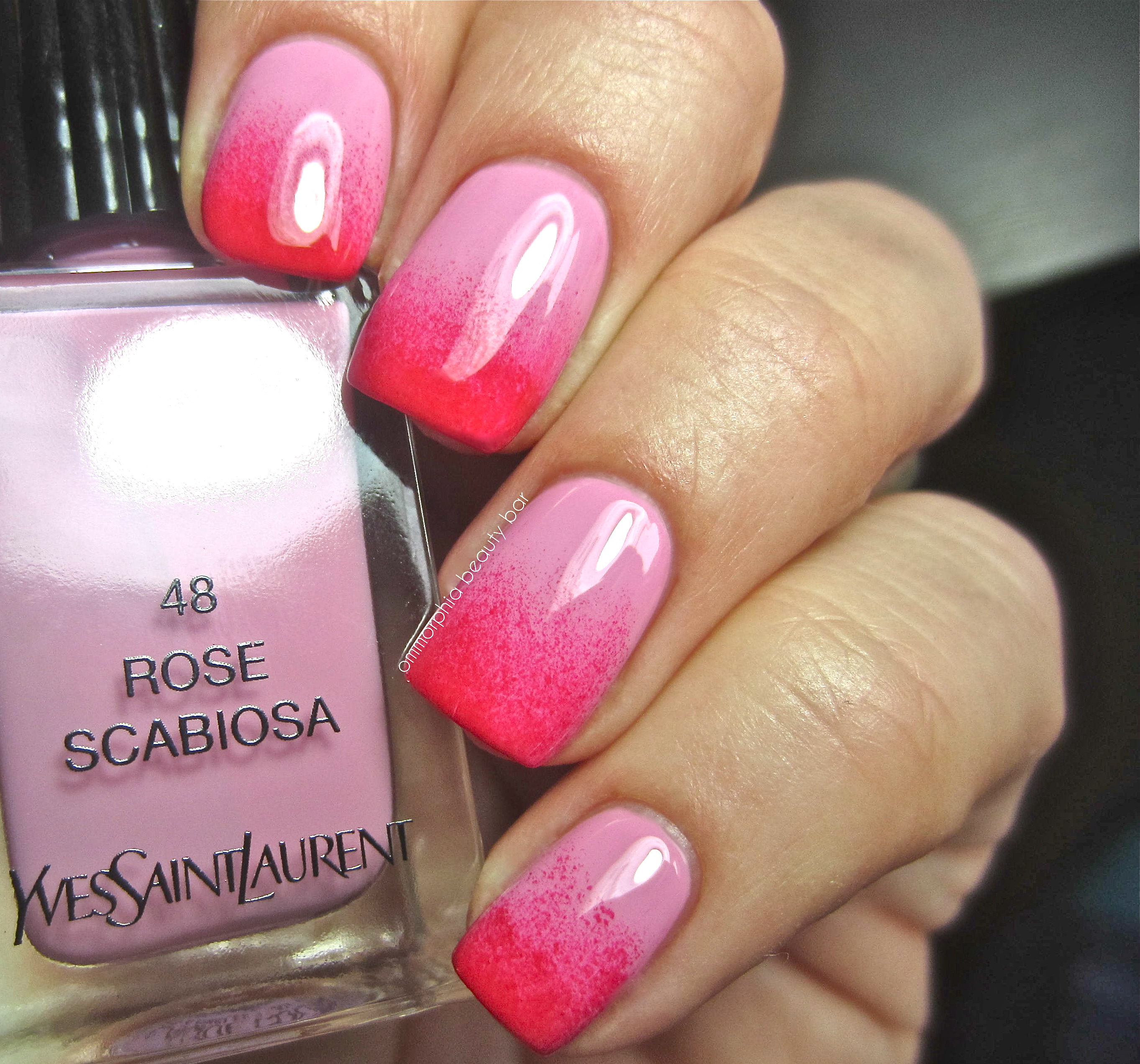 YSL Rose Scabiosa & Rouge Pablo sponge 2