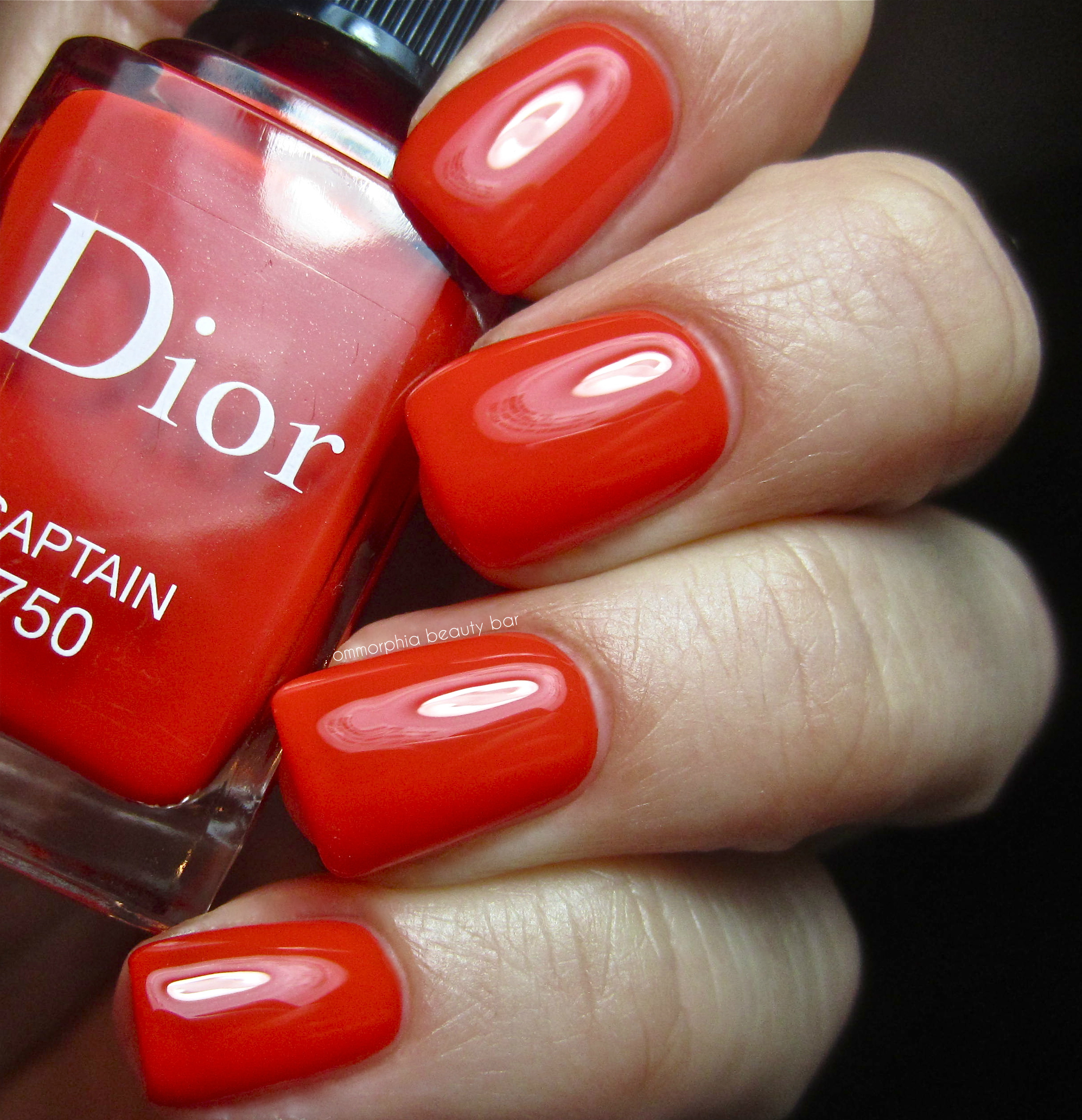 Dior Captain swatch