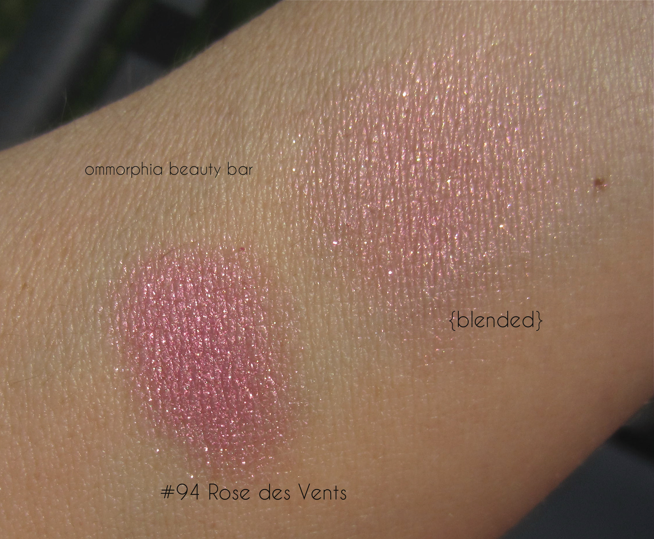 CHANEL Rose des Vents swatch