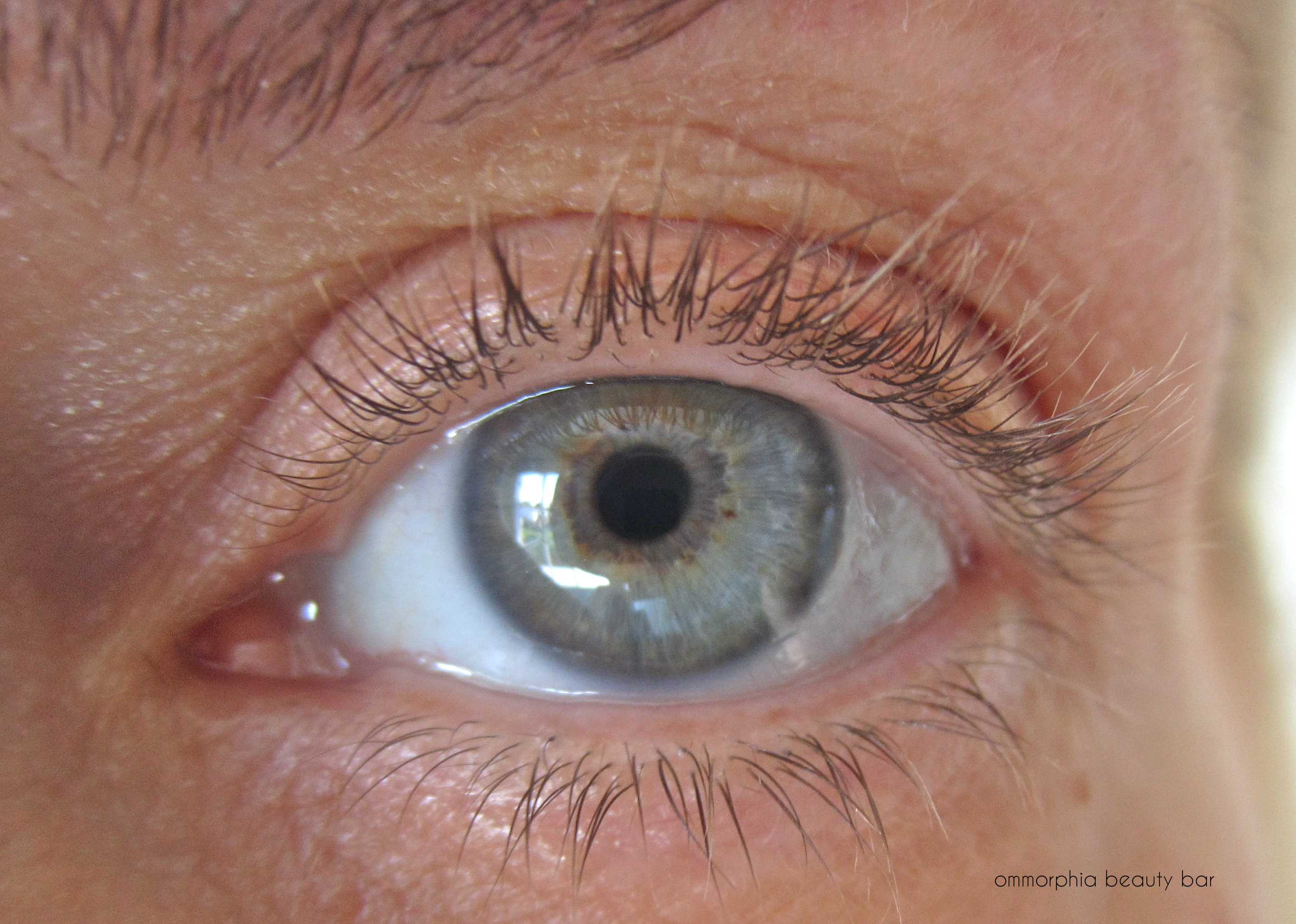L'Oreal Miss Manga pre-mascara swatch