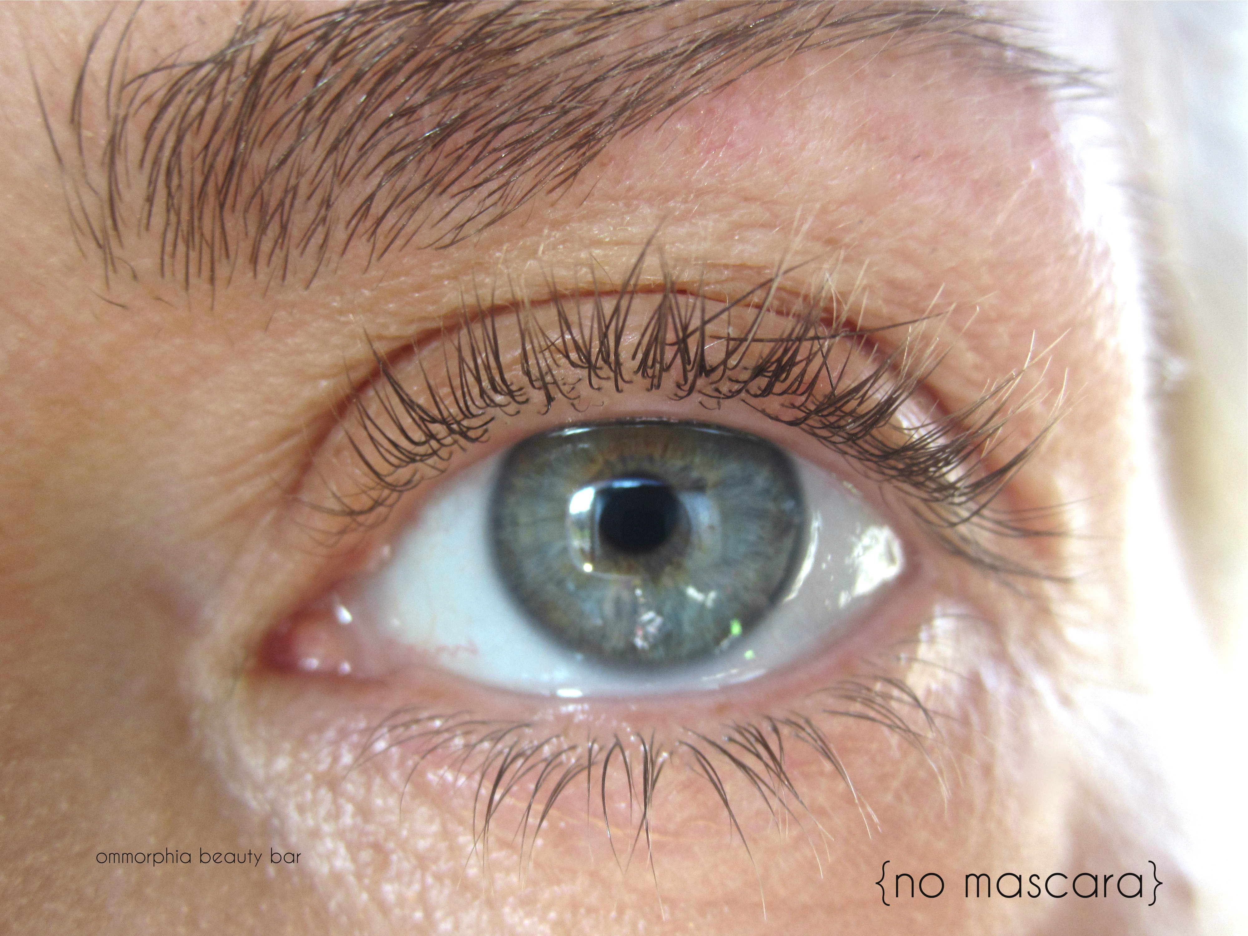 shu uemura pre petal-lash mascara swatch