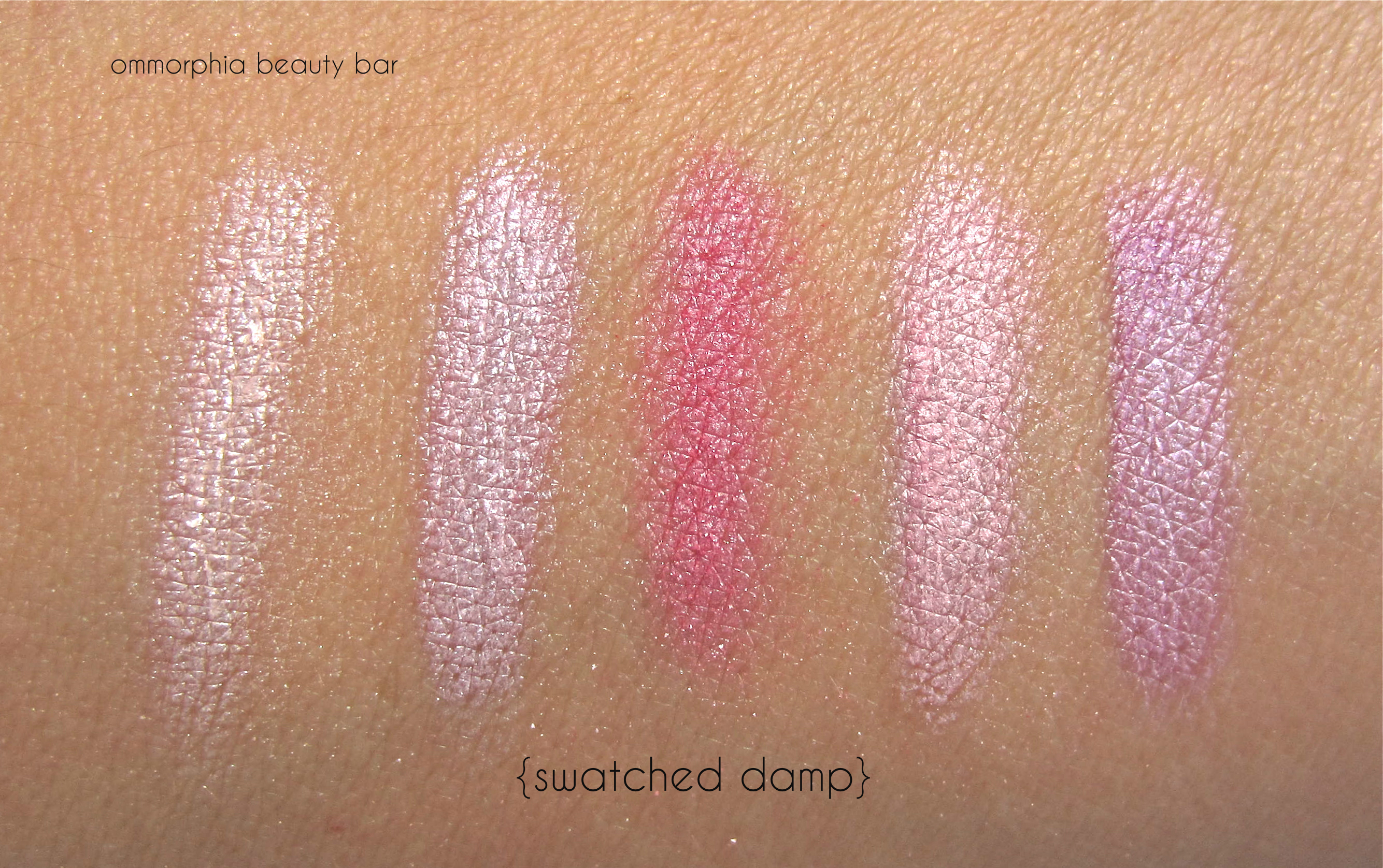 Dior #846 Tutu swatched damp