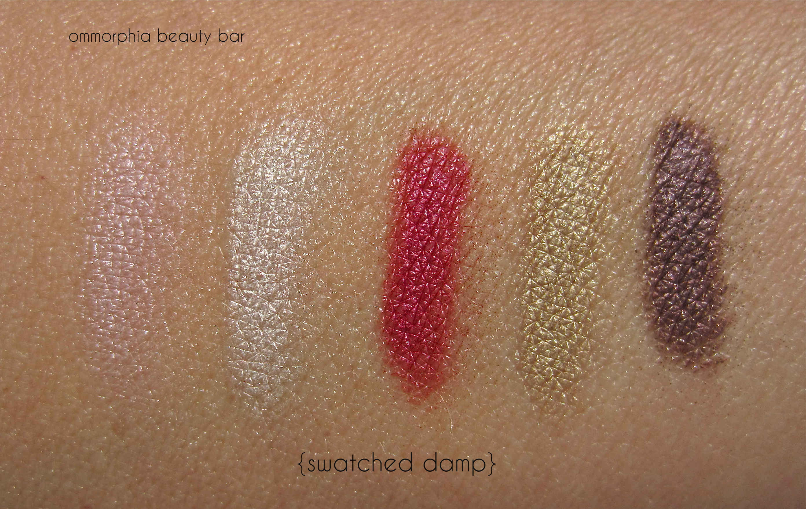 Dior #876 Trafalgar swatched damp