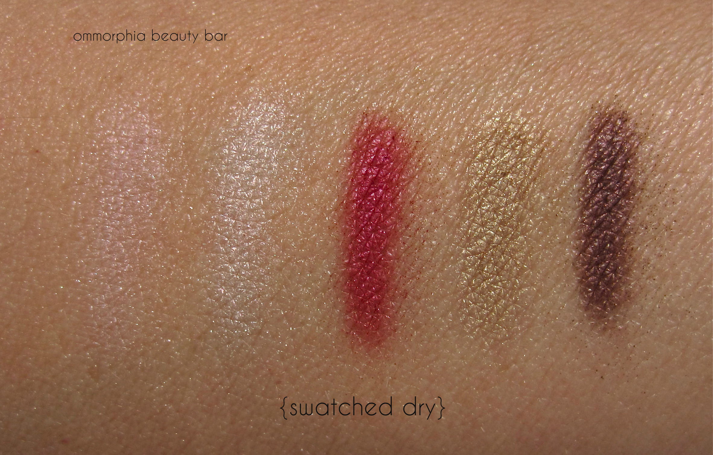 Dior #876 Trafalgar swatches dry