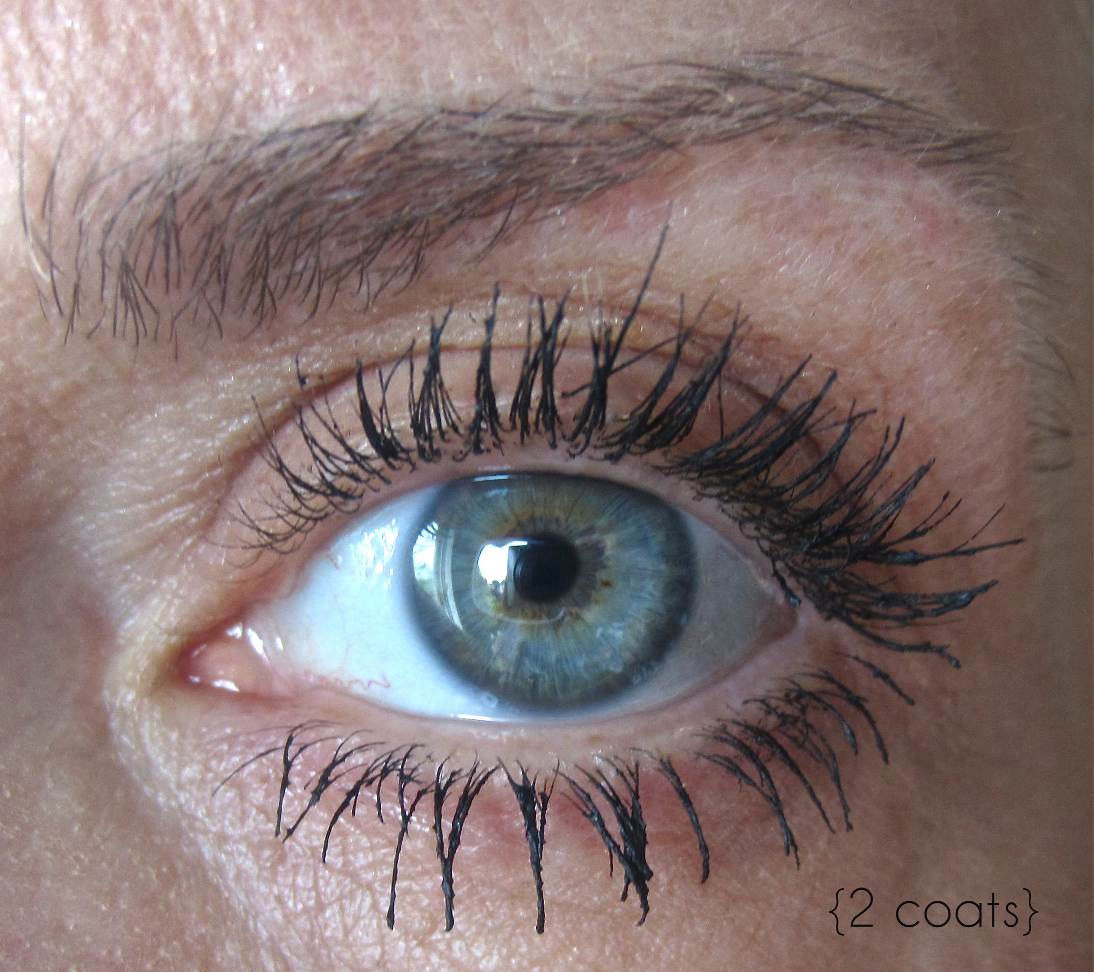 GA Black Ecstasy Mascara 2 coats swatch