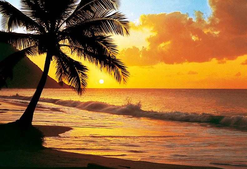 Island scene