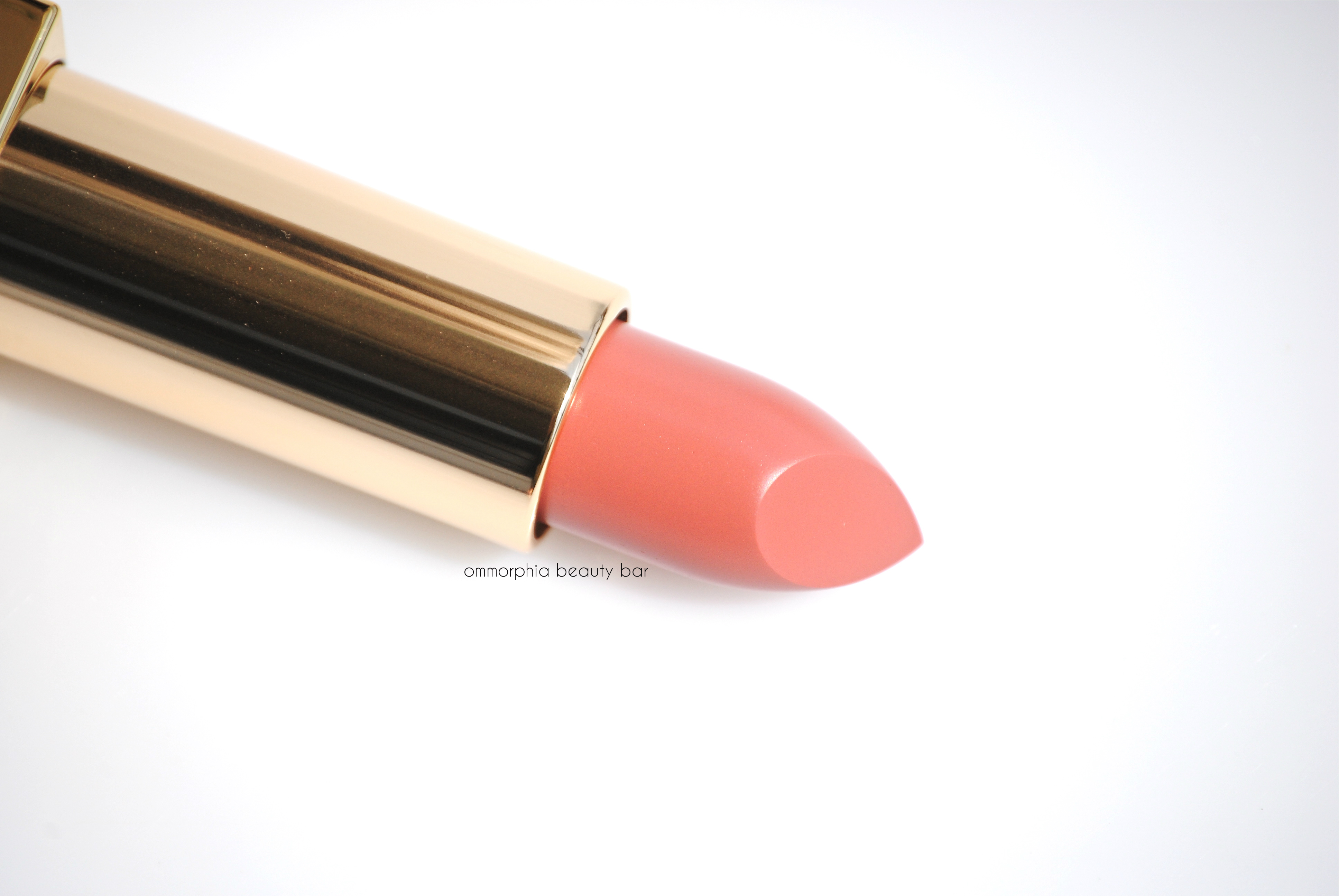 YSL #210 Nude Acoustic macro 2