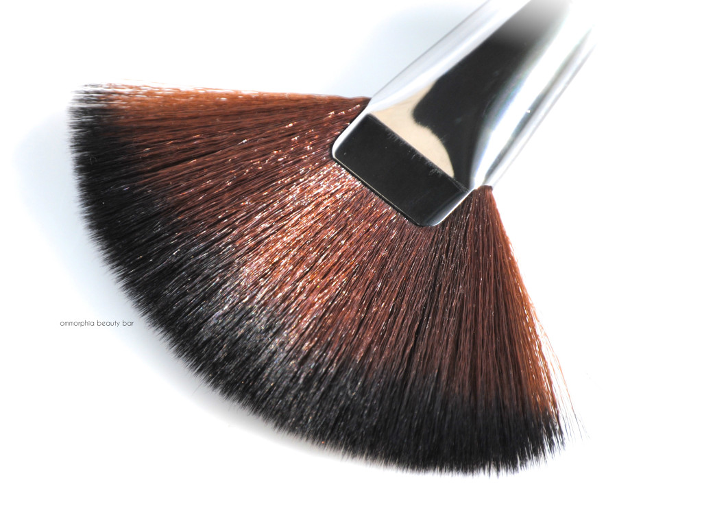 Lise Watier fan brush macro