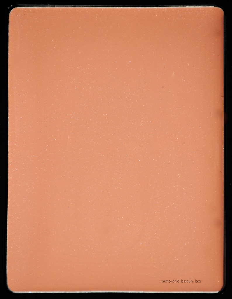 YSL Les Sahariennes Sienne macro