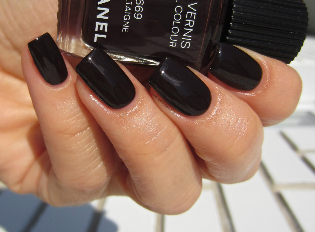 CHANEL CHâtaigne swatch 2