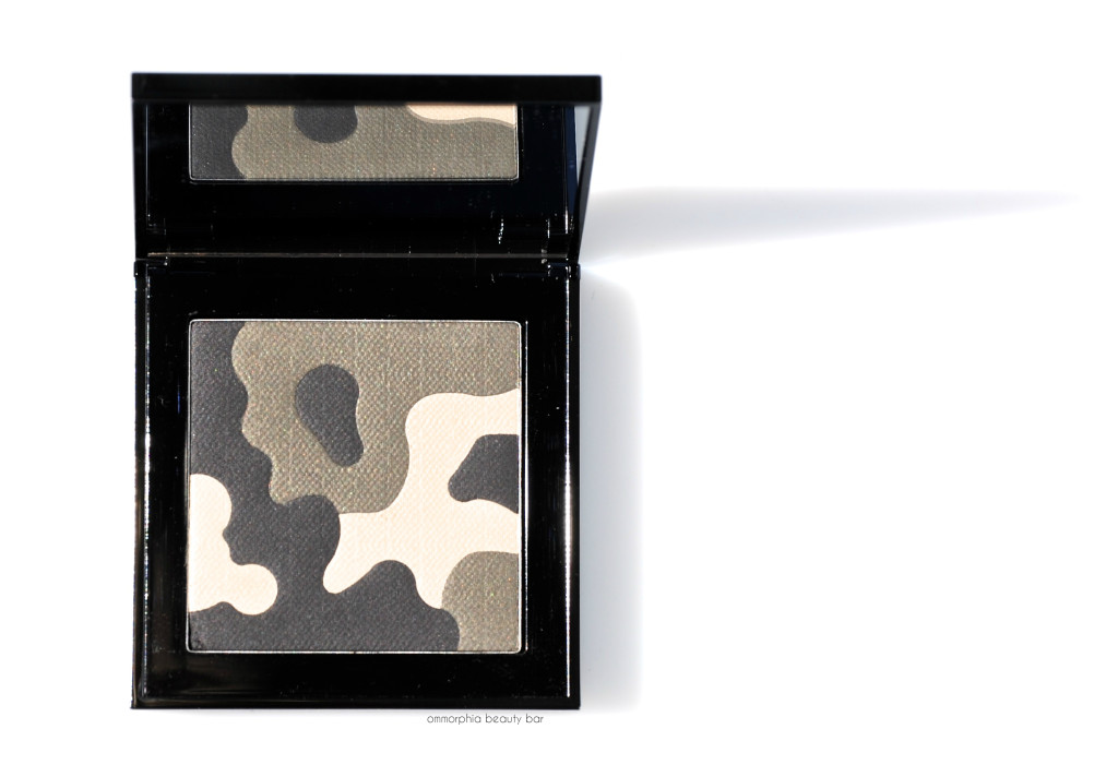 Burberry AW 2015 Runway Palette 4