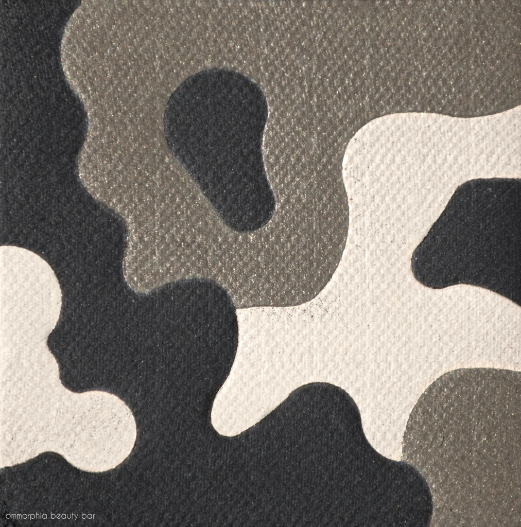 Burberry AW 2015 Runway Palette macro