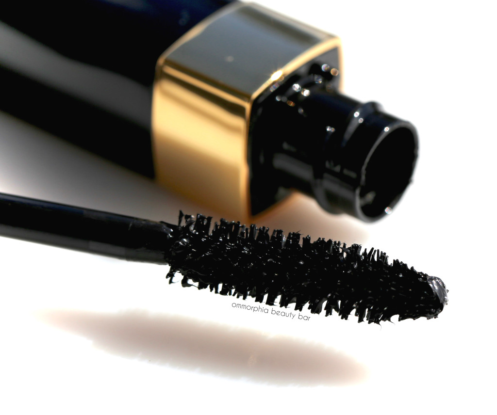 CHANEL Dimensions de CHANEL Noir brush