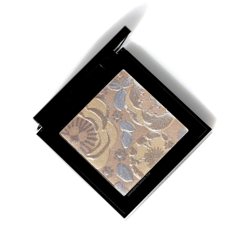 burberry-runway-palette-fall-2016-2