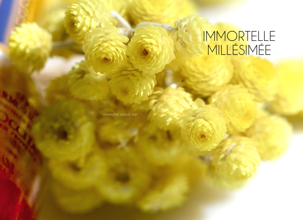 loccitane-immortelle-flowers